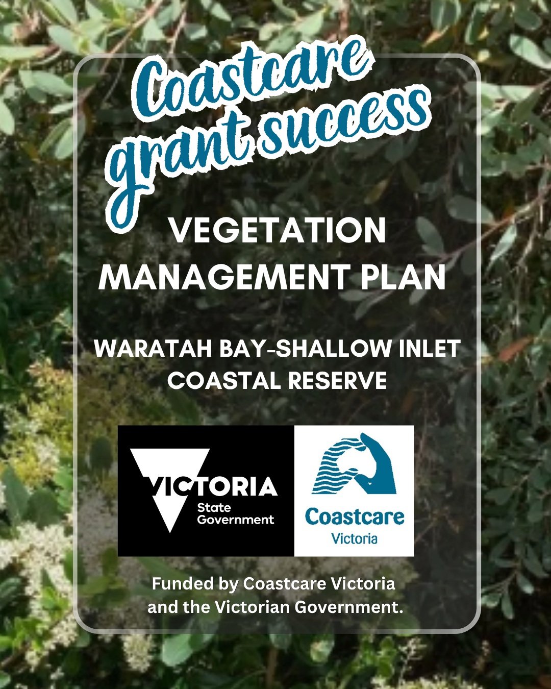 Waratah Bay-Shallow Inlet Coastal Reserve Vegetation Management Plan.
This project will develop a Vegetation Management Plan for the reserve, comprising flora and fauna lists, weed population data, GIS layers including vegetation conditions, priority
