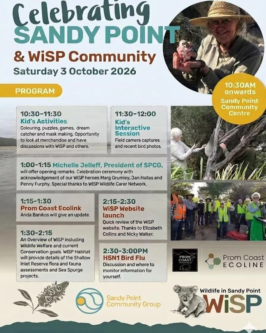 Coming up this Saturday October 3 at the Sandy Point Community Centre, between 10:30am nd 3:30pm. Spring event of the Wildlife in Sandy Point group. Details below and details of all SP events are online at ...
www.sandypoint.vic.au/events
