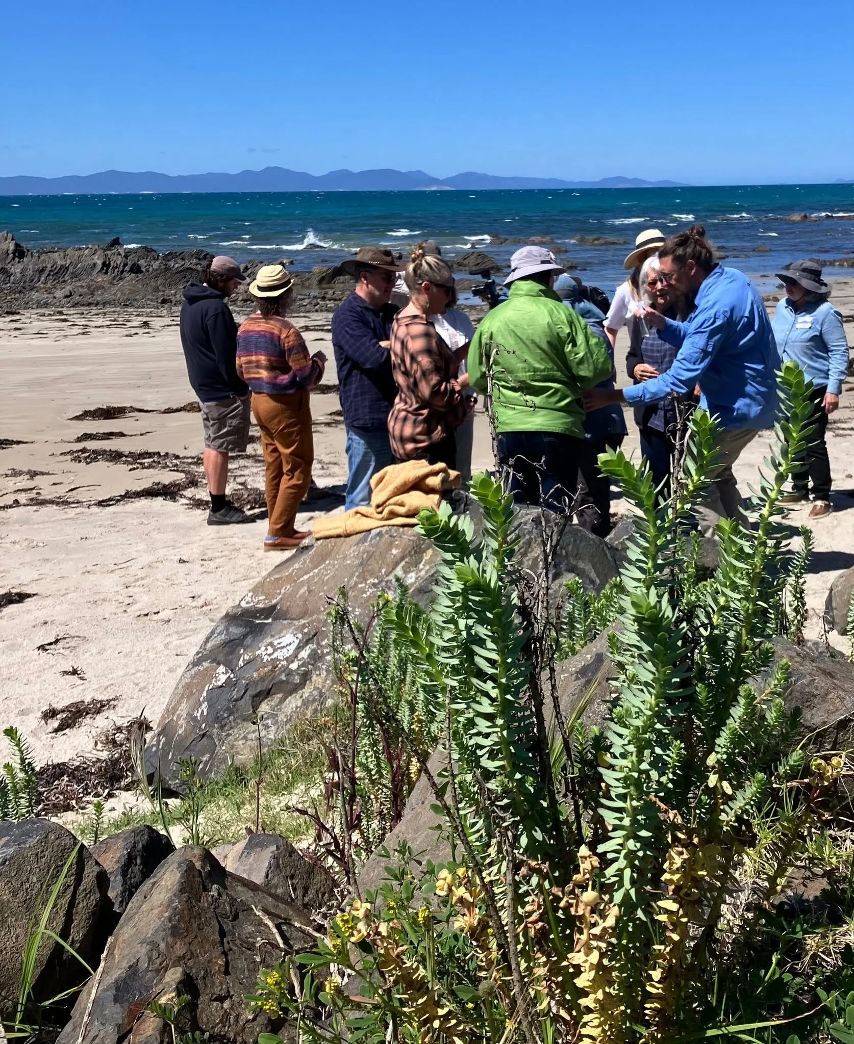 Sea Spurge Biocontrol Workshop.

 On Friday 16 October 2026 WiSP Habitat, Tarwin Landcare Group and South Gippsland Conservation Society hosted a workshop at Tarwin Lower, funded by Landcare Victoria, and attended by about 50 people from South Gippsl