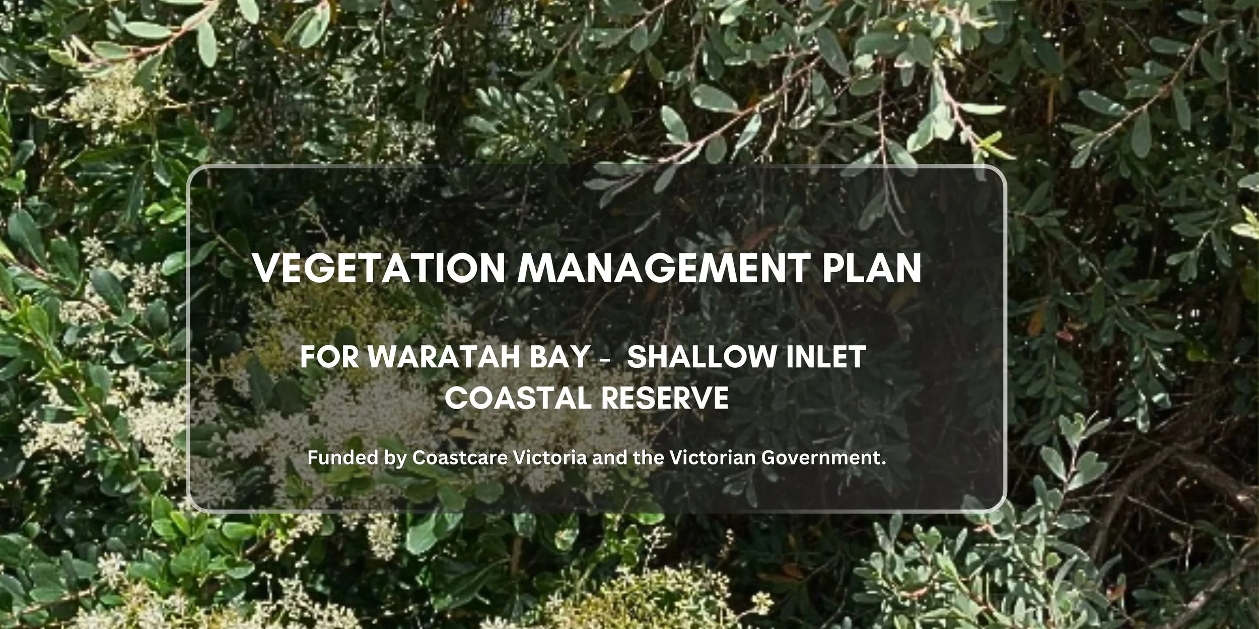 Vegetation Management Plan