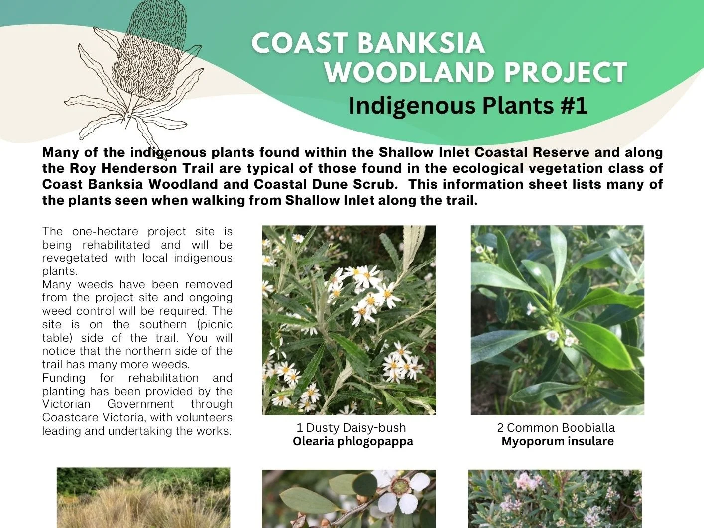 CBWP plant resources