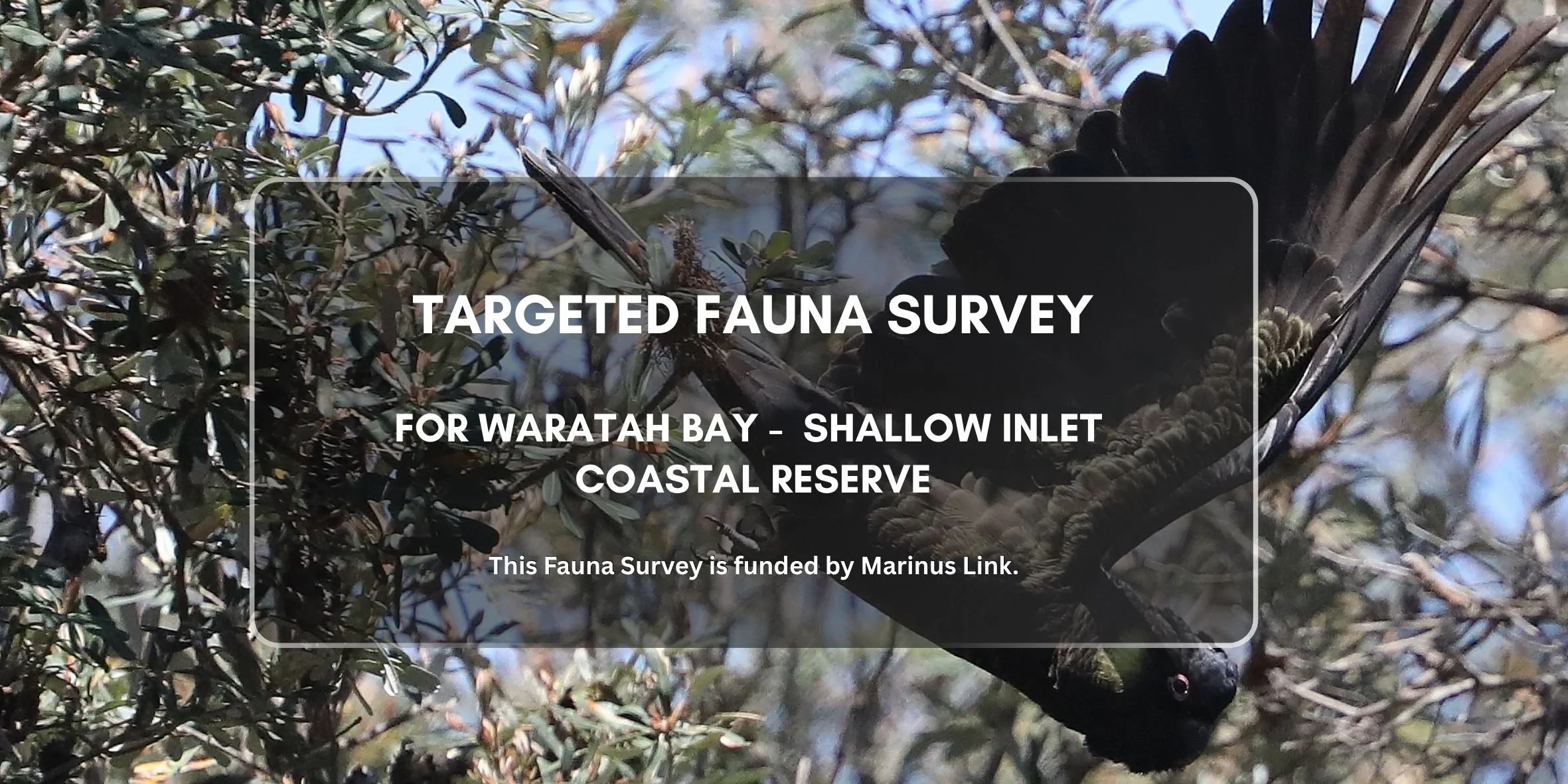 Fauna survey