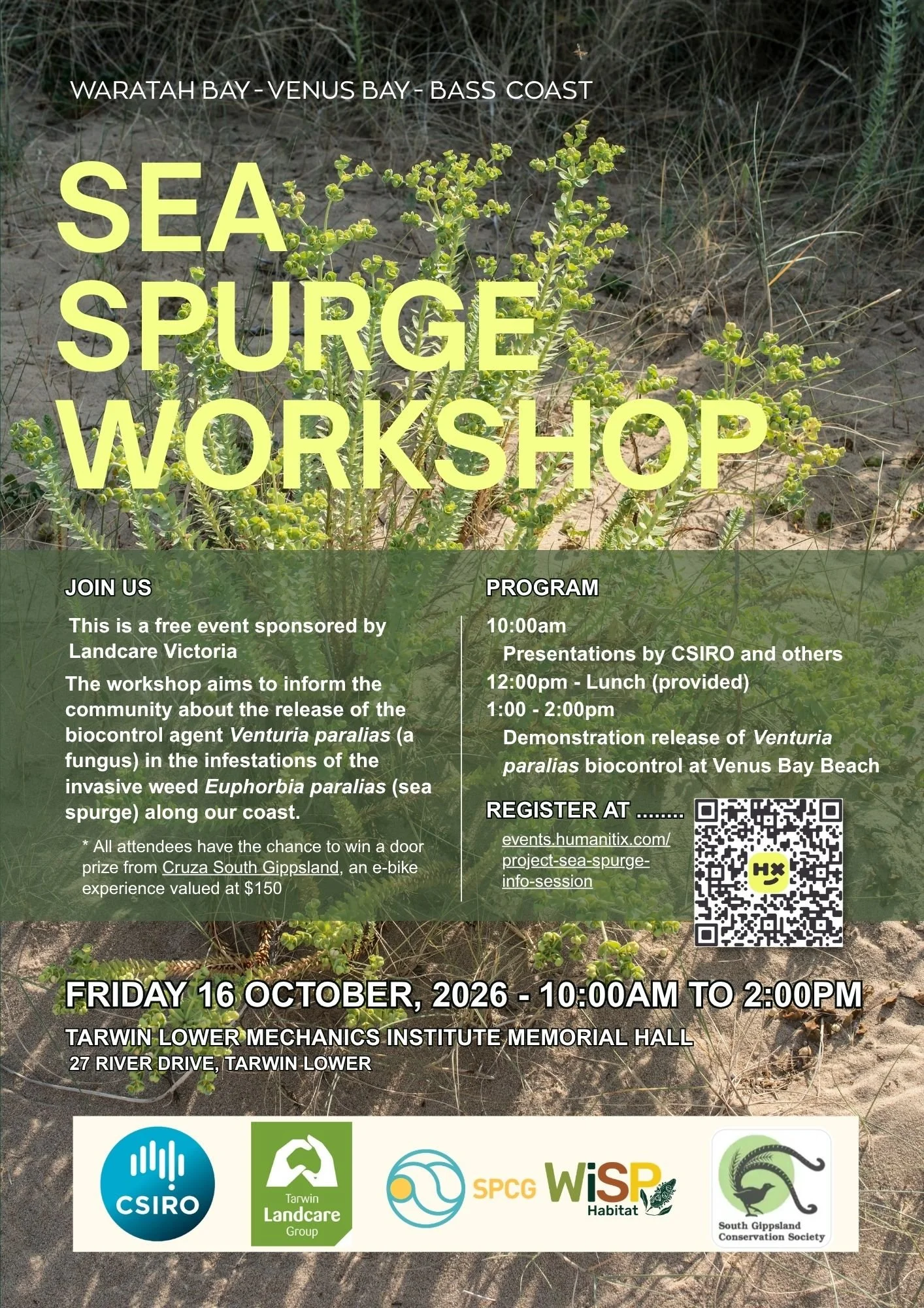 Sandy Point Sea Spurge workshop