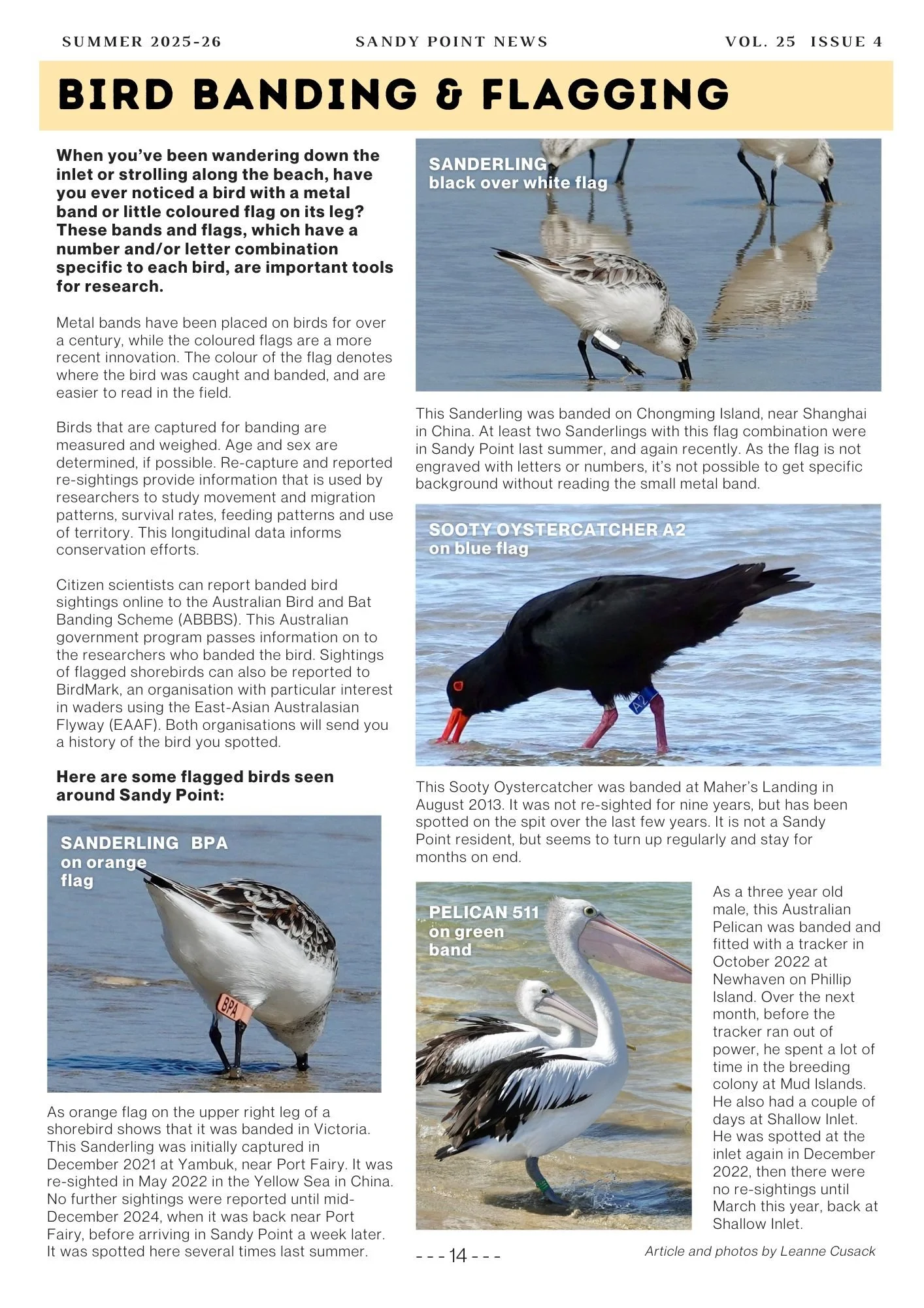 Article: Bird banding and flagging