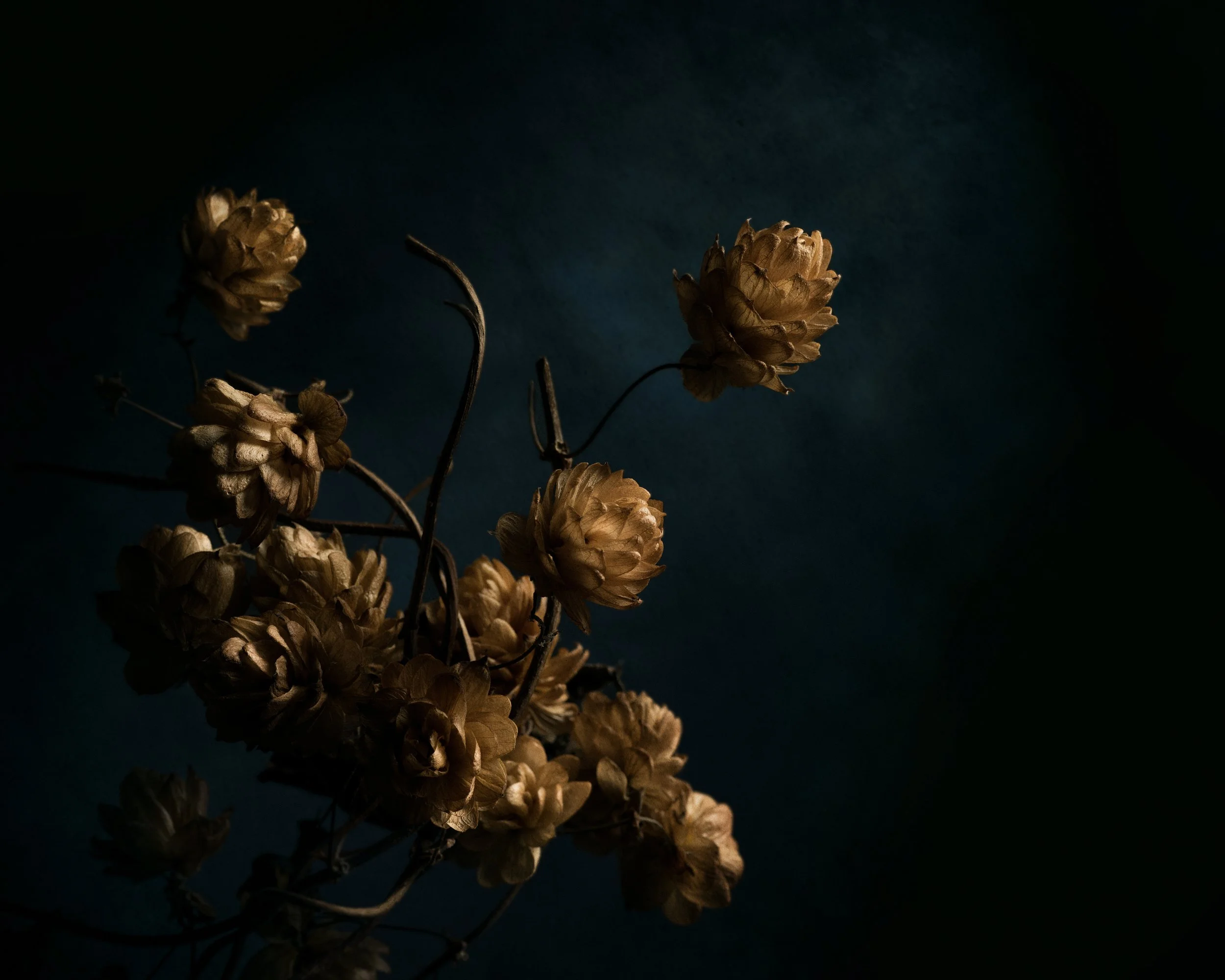 Craig MacLean Fine art Photographer 05.jpg