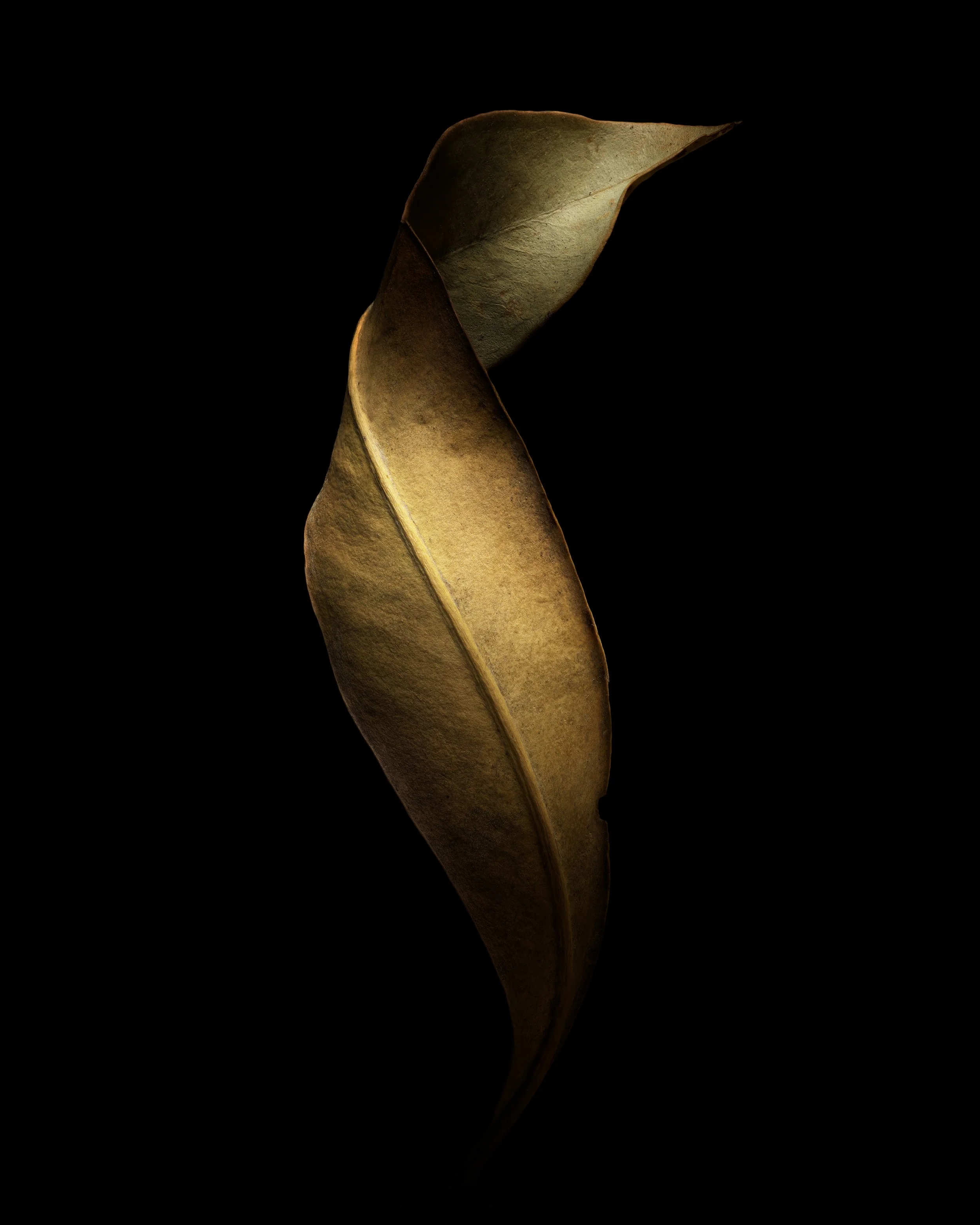 Craig MacLean Fine art Photographer 06.jpg