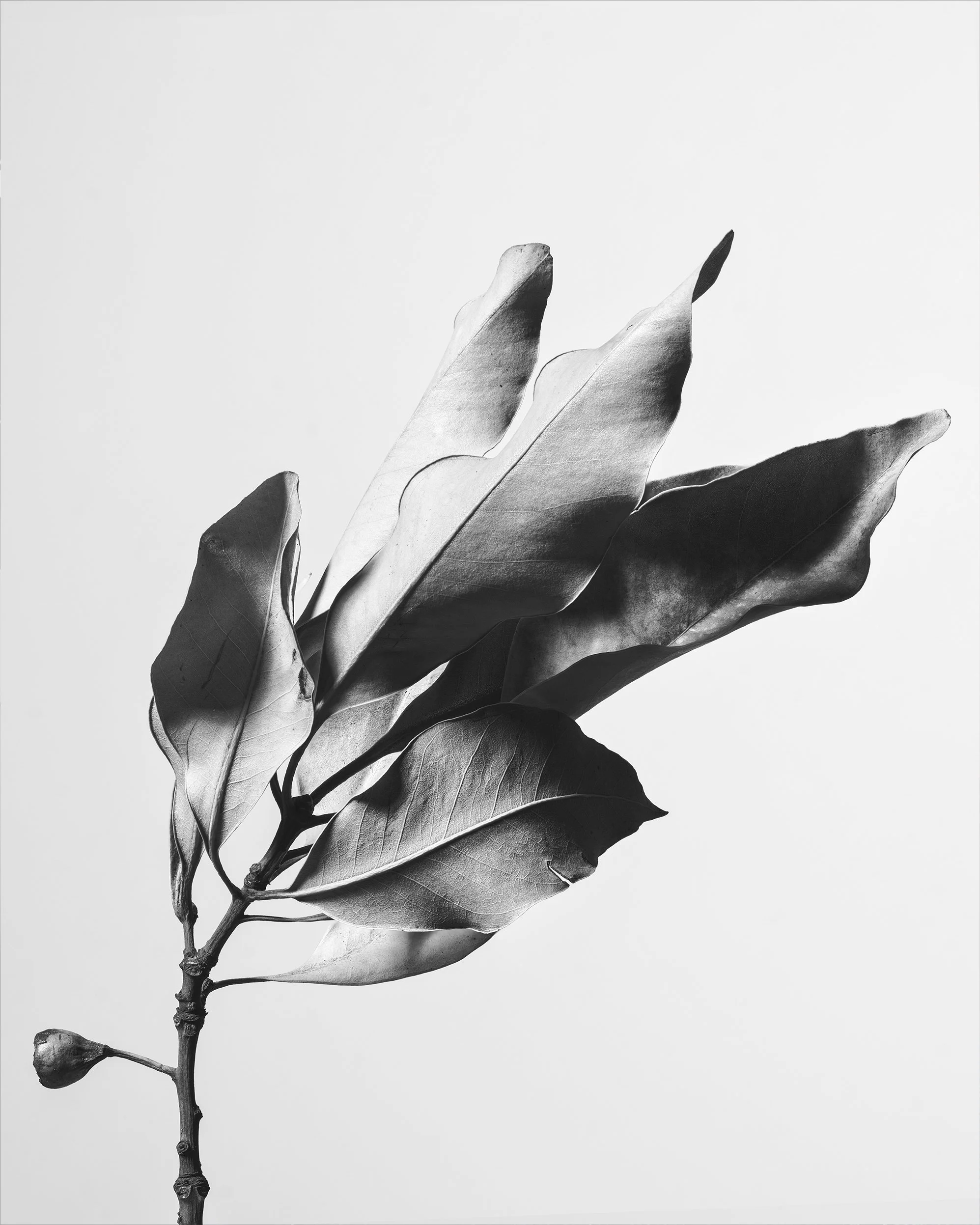 Craig MacLean Fine art Photographer 29.jpg