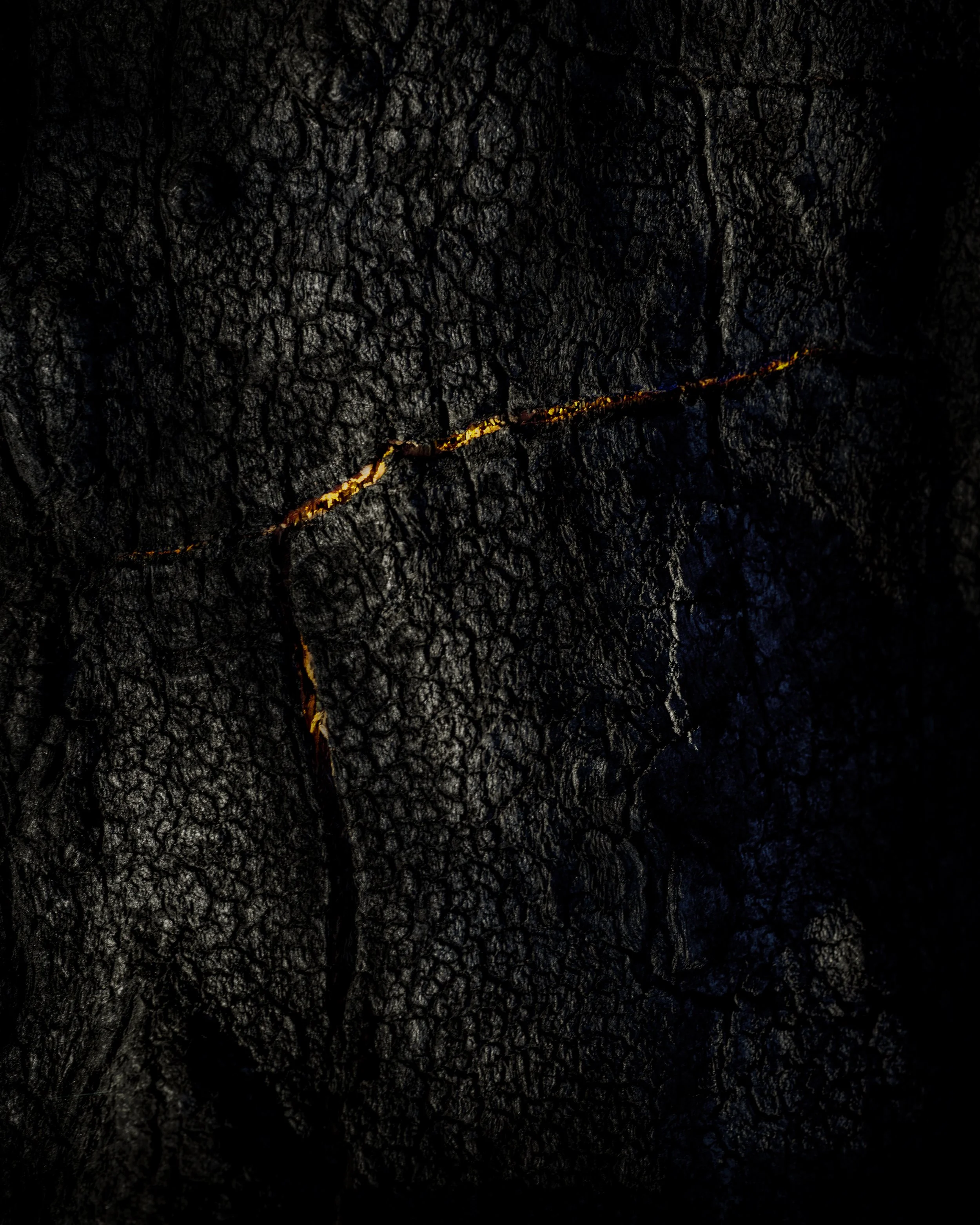 Craig MacLean Fine art Photographer 02.jpg