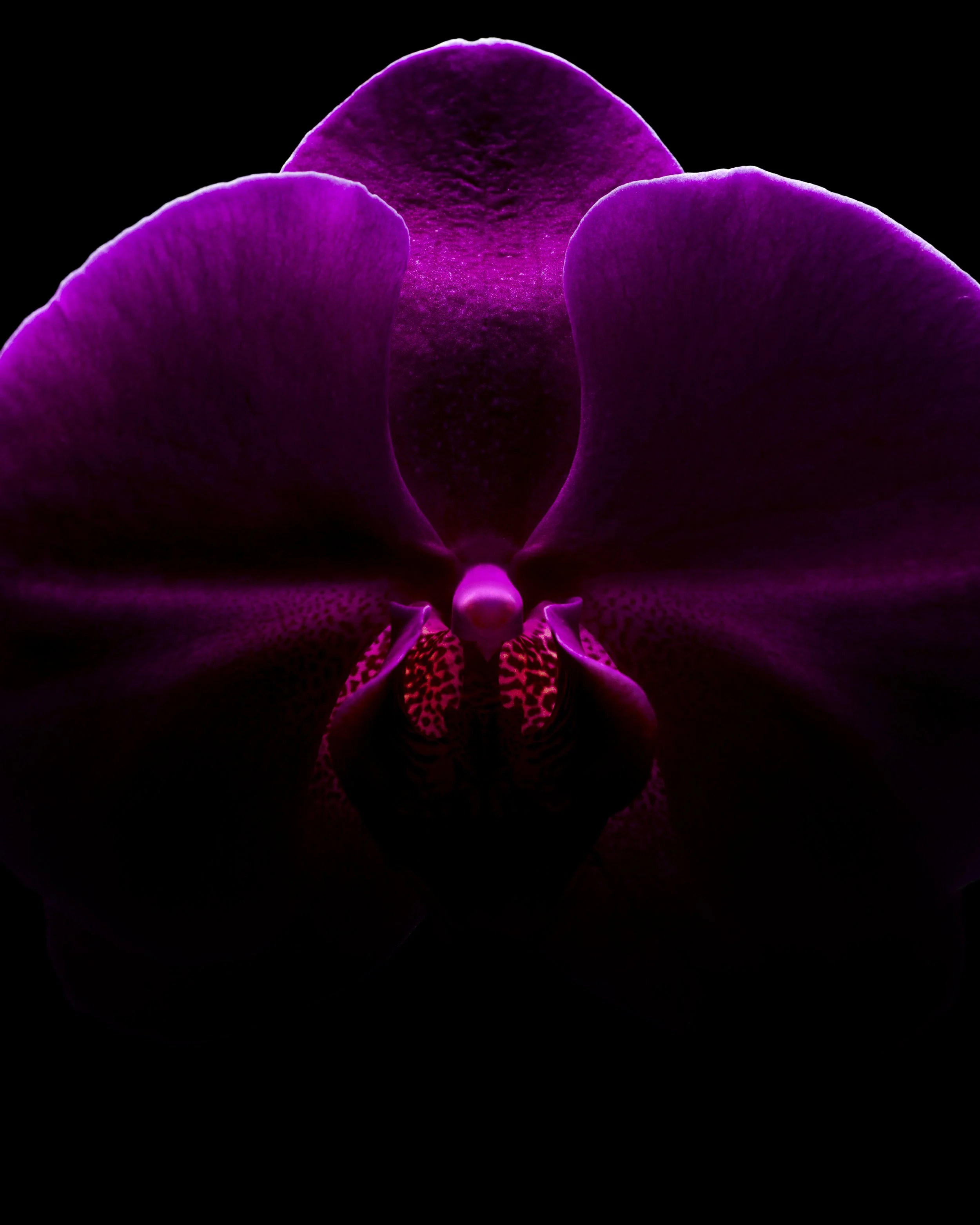 Craig MacLean Fine art Photographer 15.jpg