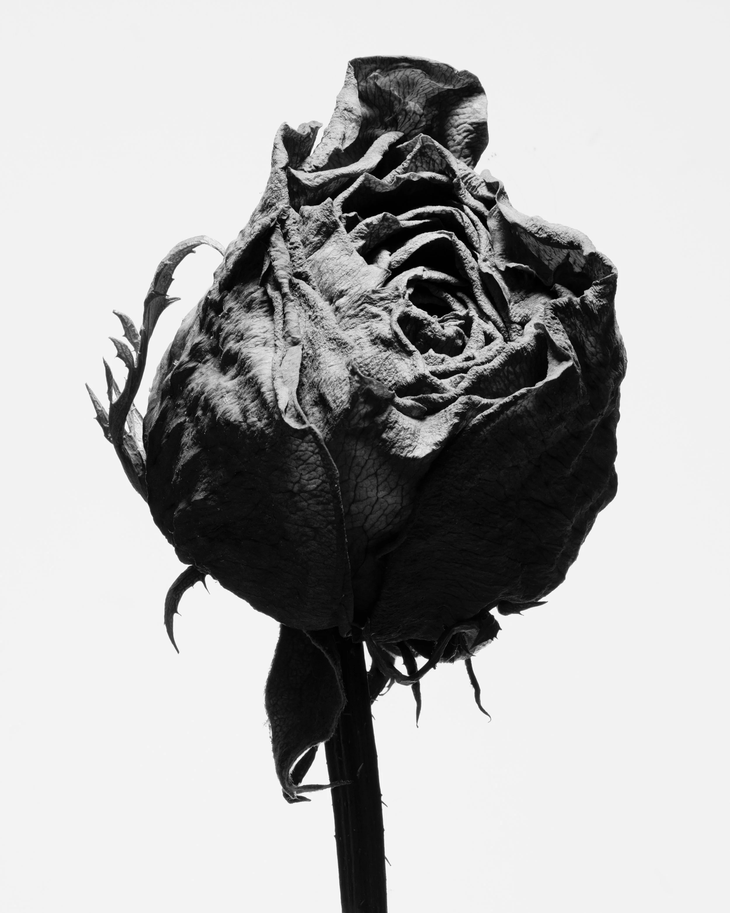 Craig MacLean Fine art Photographer 30.jpg