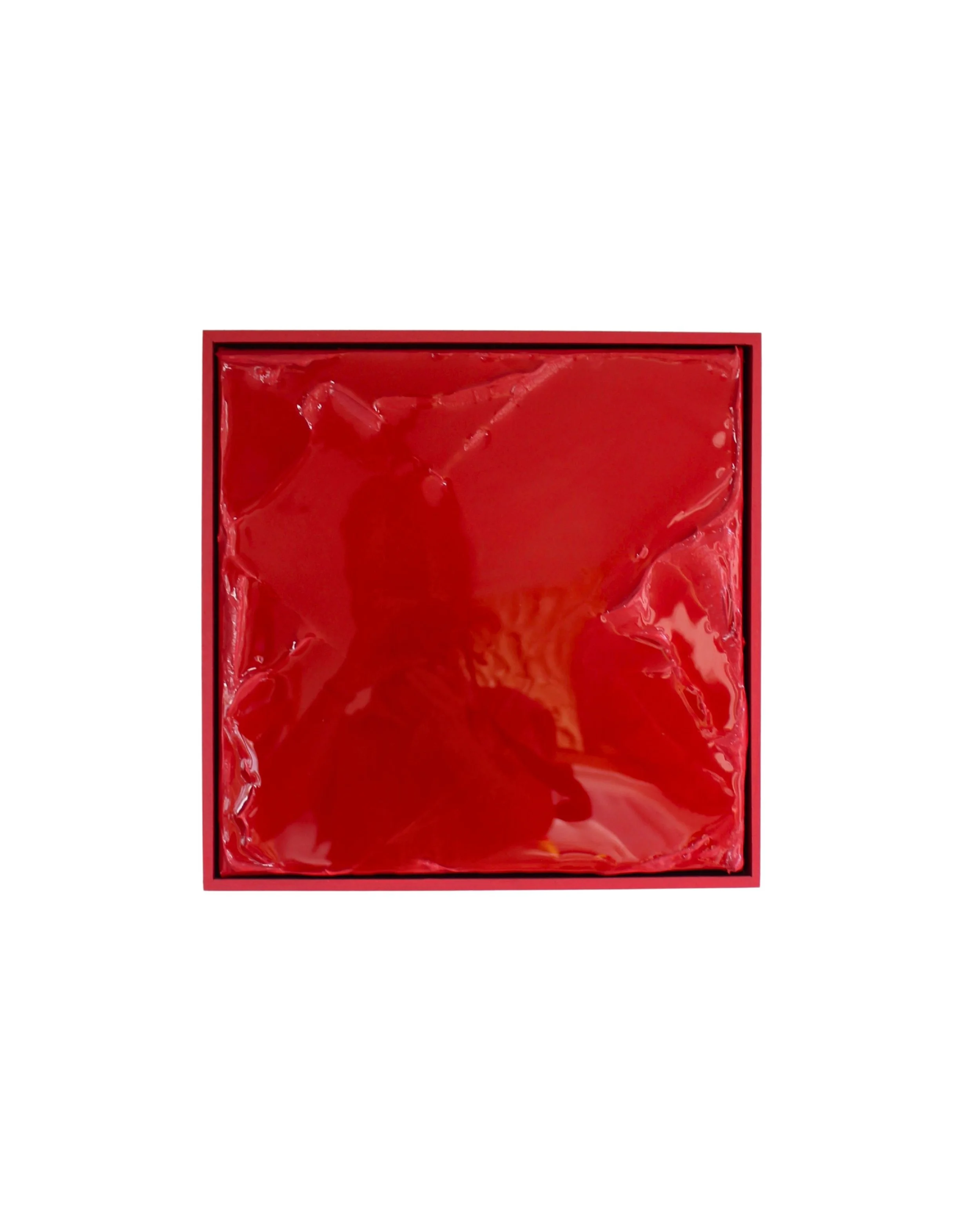framboise_Intense_marie_aubeline_hiot_chef_French_artist.