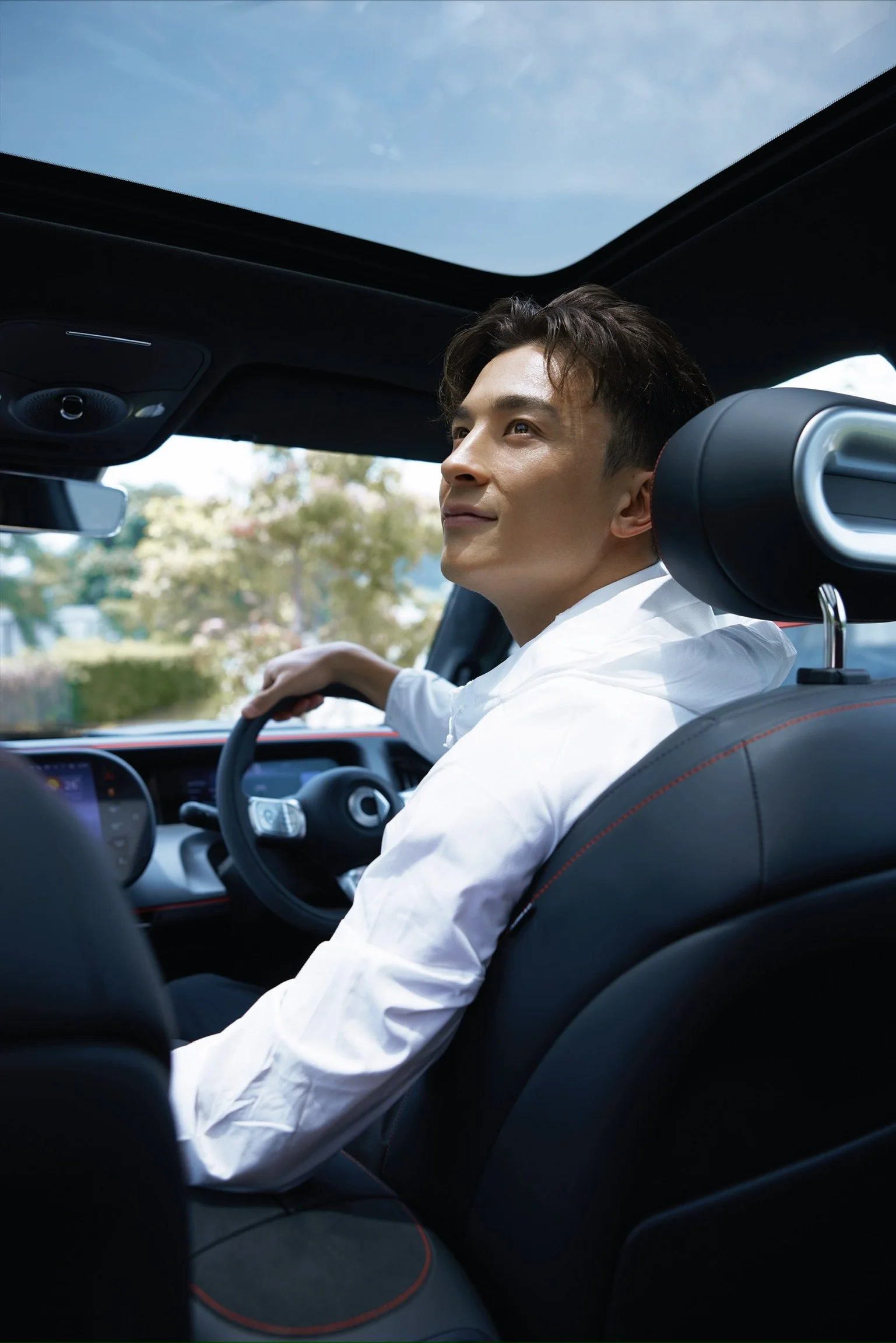 Fineapple Asia - Matt Orr 安永佳 - Brands - Smart Car