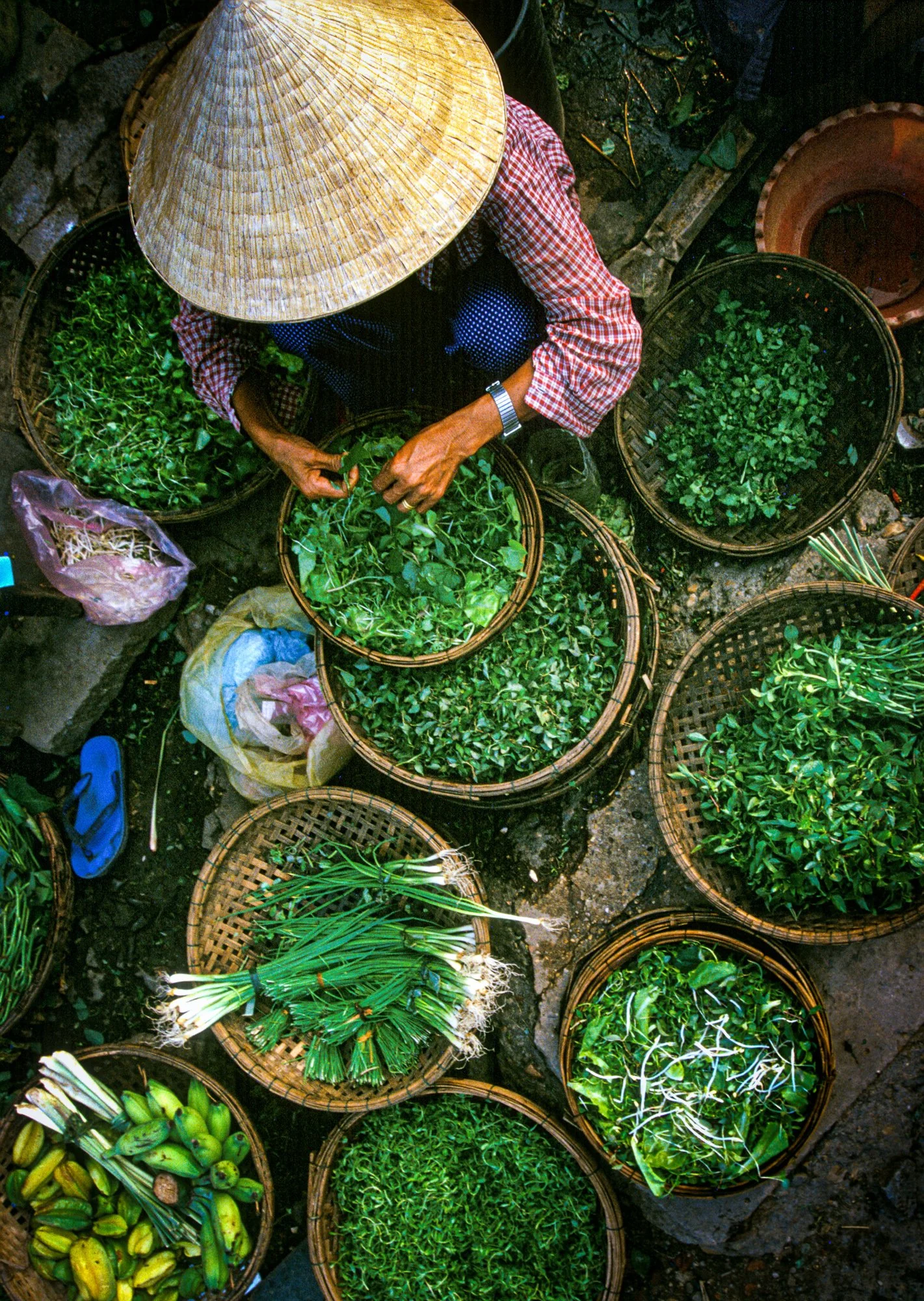 morning_market_hanoi.jpg