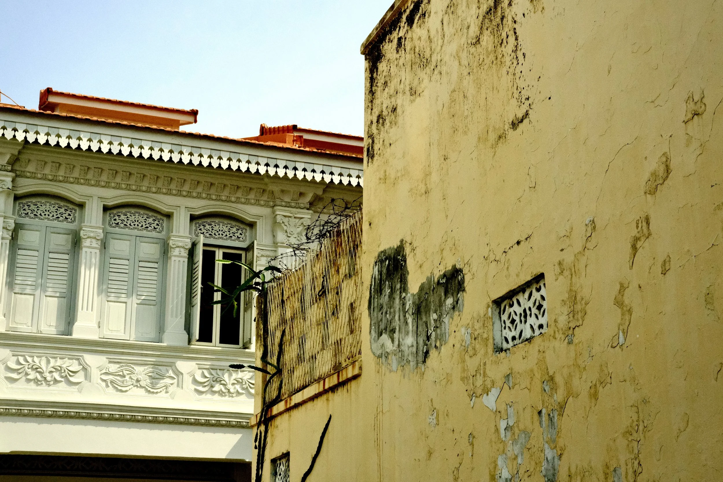 _DSF4877.JPG