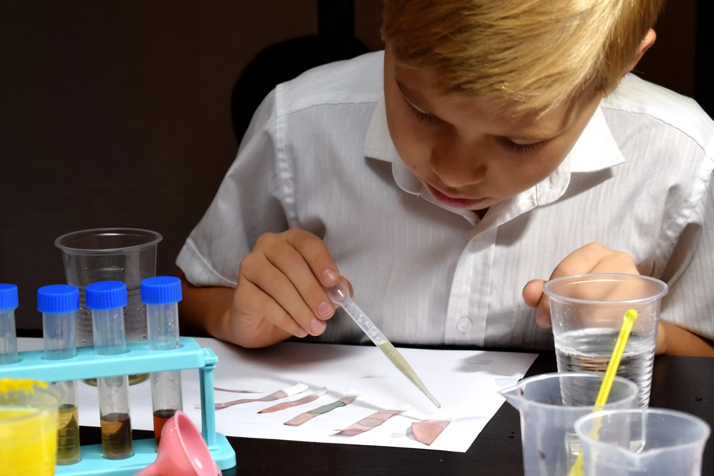 STEMHome Curated Boxes of Science Equipment for GCSE Students