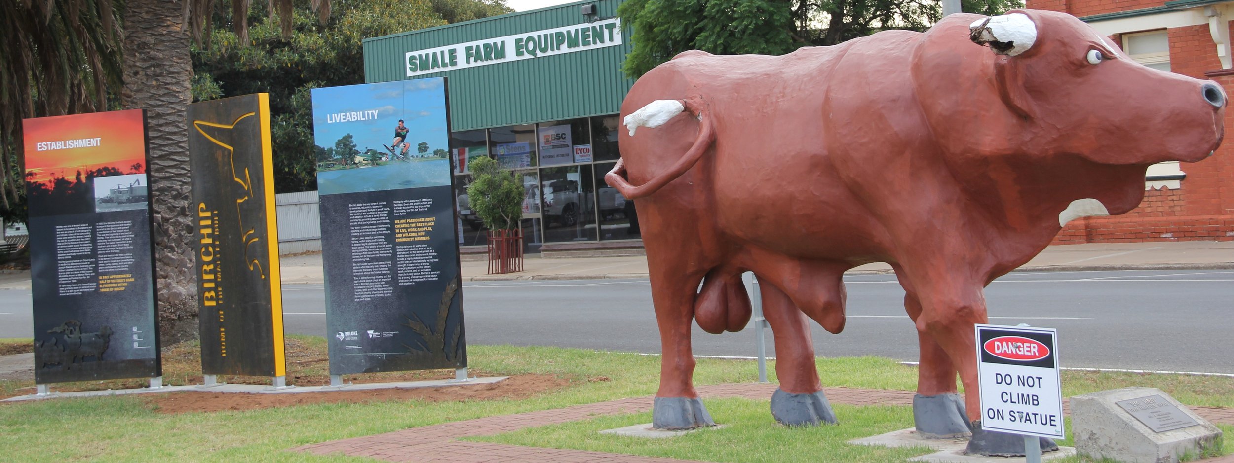 Birchip Mallee Bull.jpg