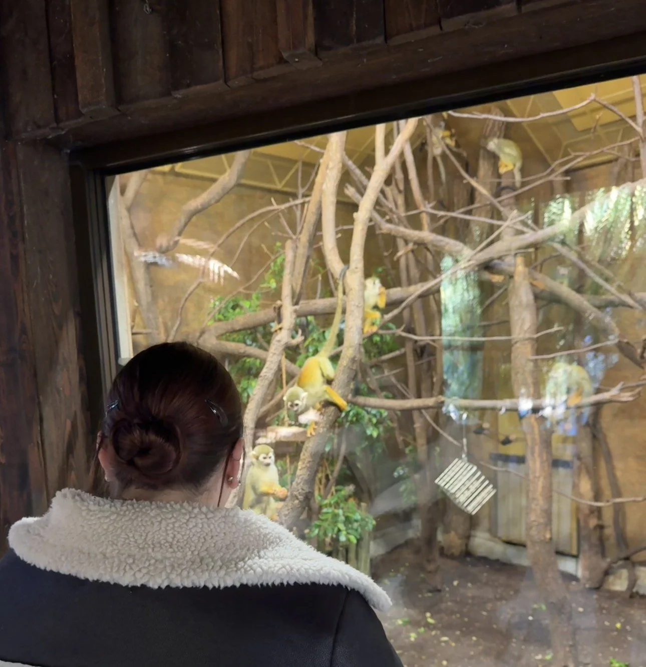 More Than a Therapist: Who I Am