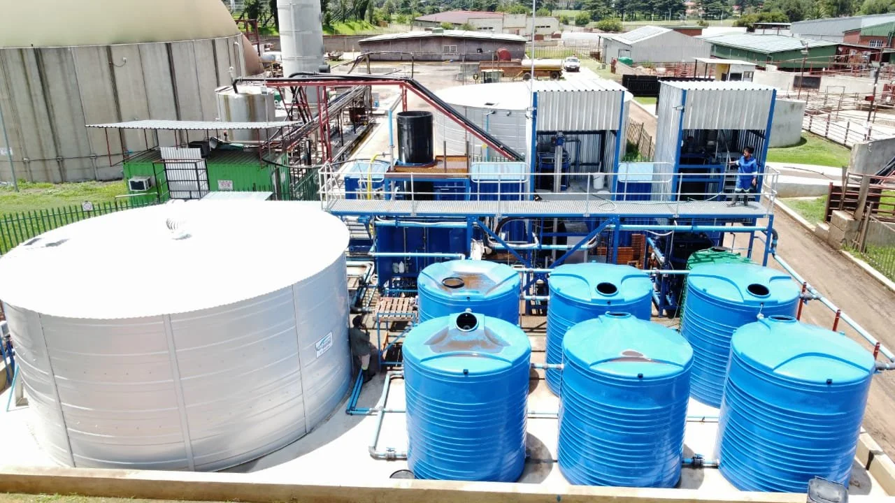 WhatsApp Image 2022-02-10 at 2.45.59 PM.jpeg