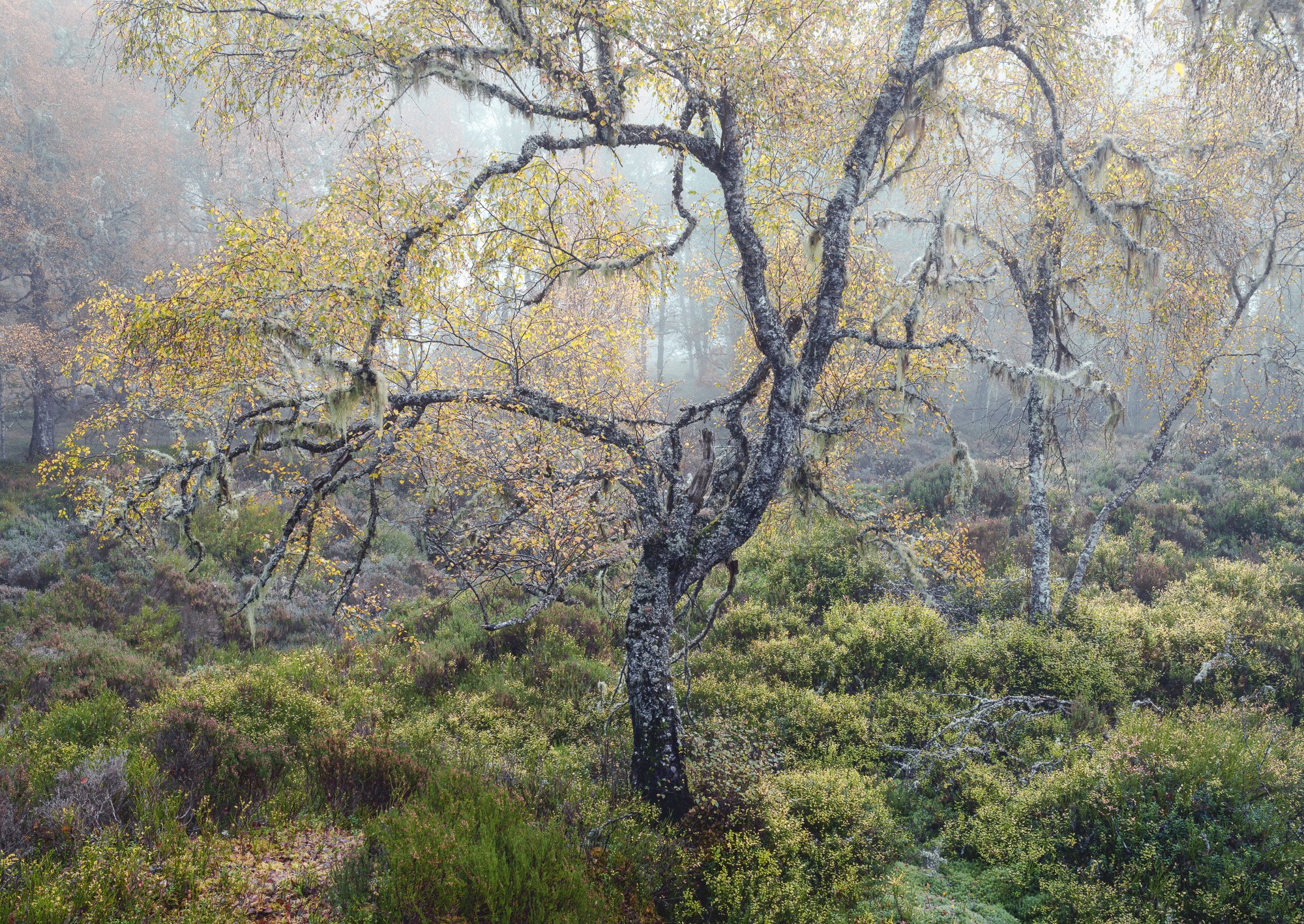 SLPOTY - Duncan Wood (17).jpg