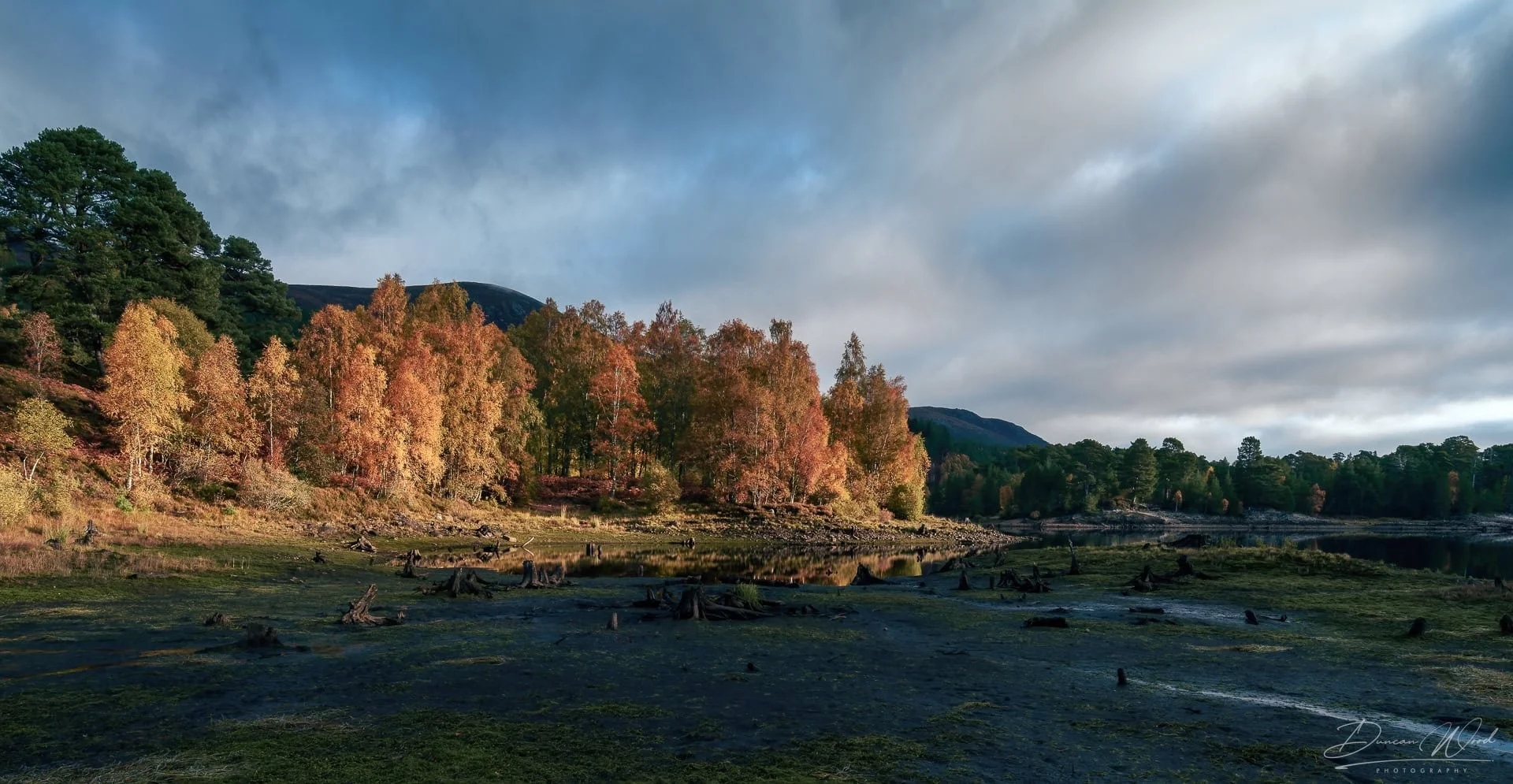 A landscape of trees with autumn foliage beside a calm body of water under a cloudy sky.