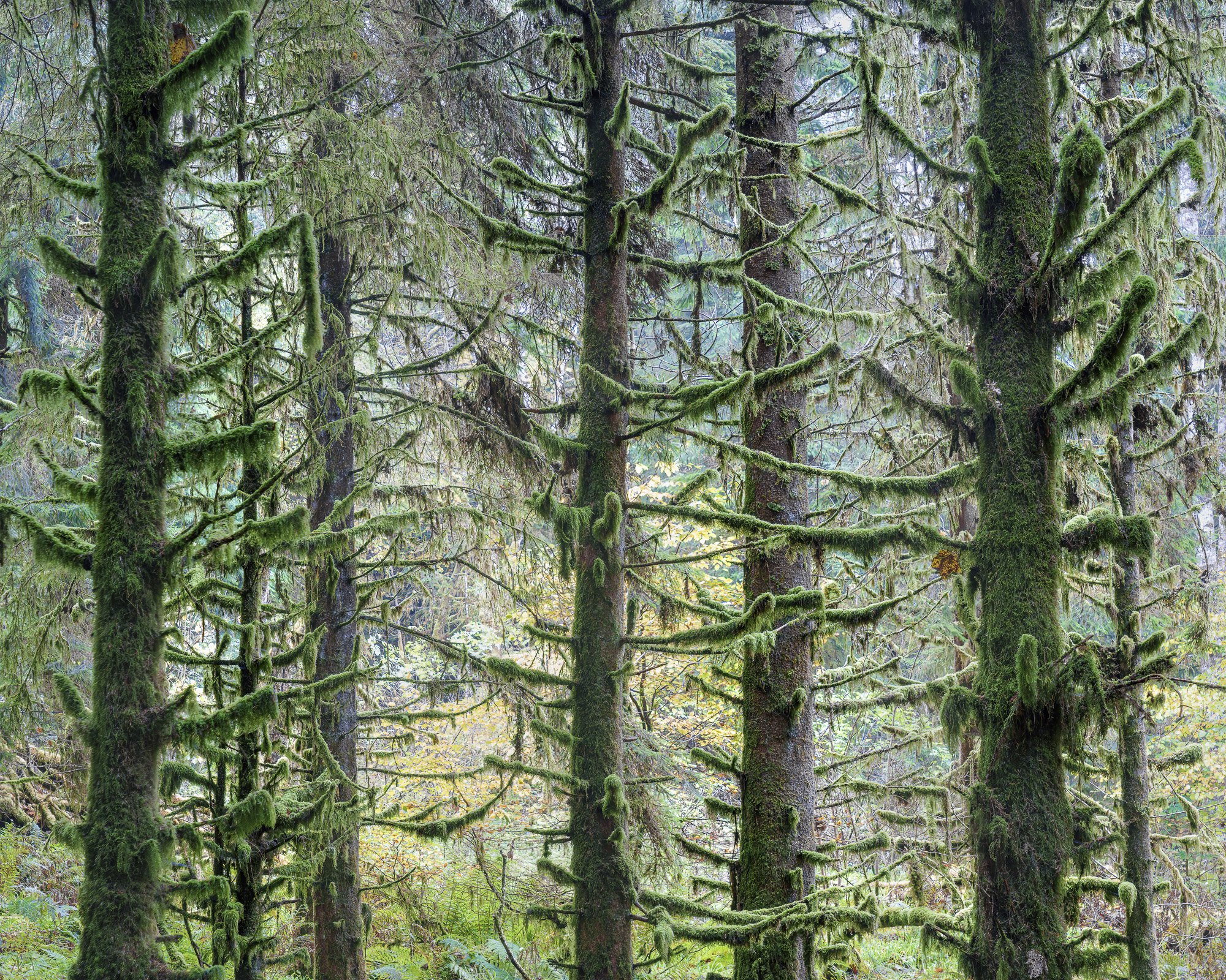 SLPOTY - Duncan Wood (7).jpg