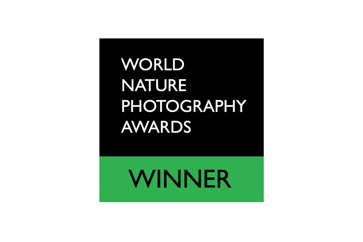 World Nature Photography Awards 2026 gold winner badge for Duncan Wood Photography