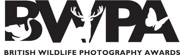 British Wildlife Photography Awards featuring Duncan Wood Photography