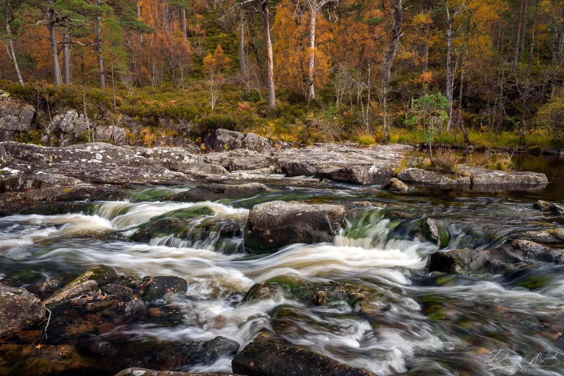A flowing river with rocks in the foreground and a dense forest with autumn foliage in the background.