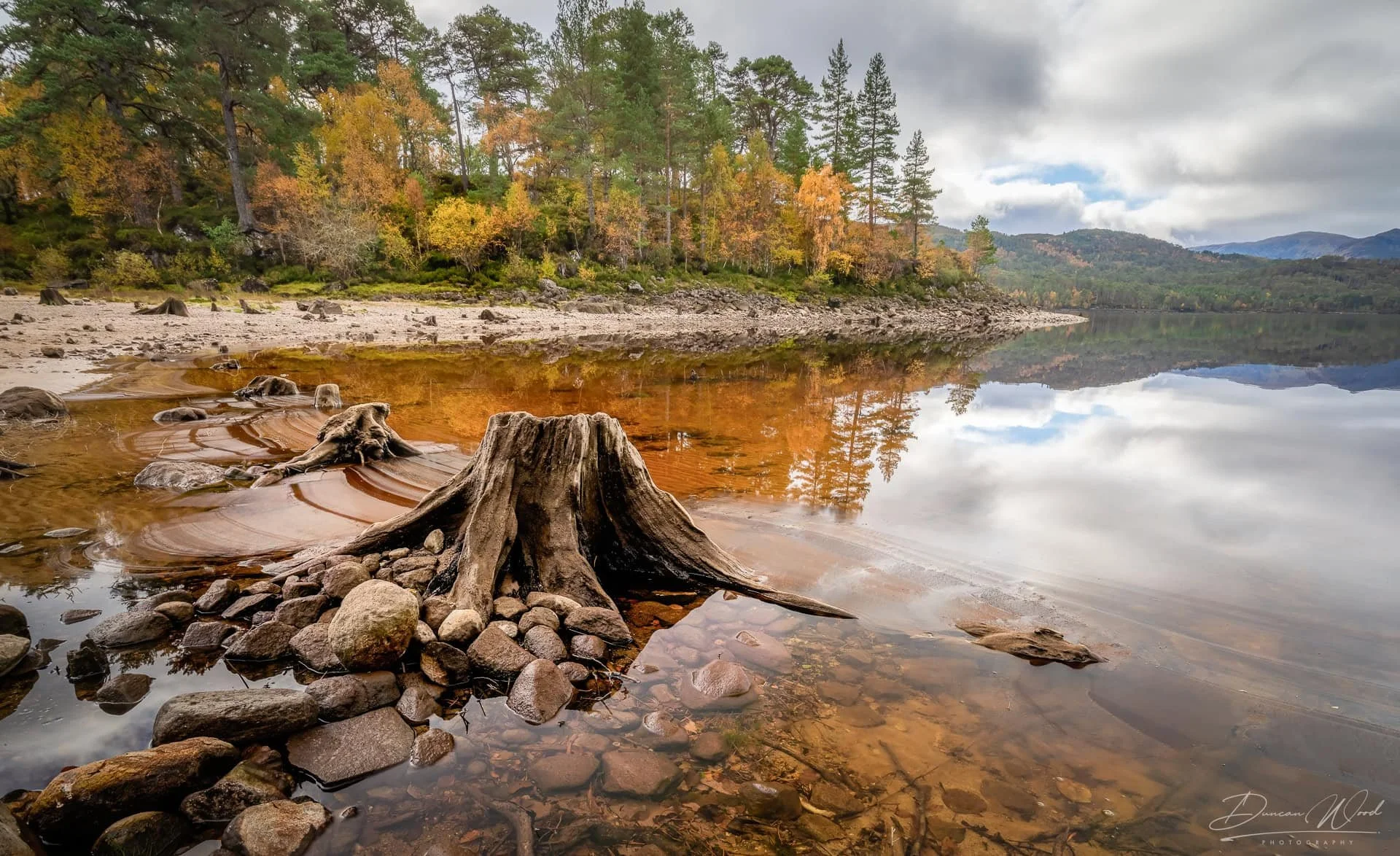 A calm lake with a reflection of trees and cloudy sky, surrounded by autumn-colored trees and rocks on the shore.