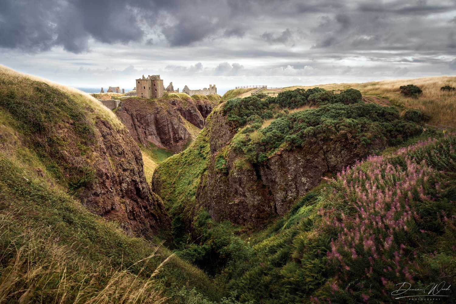Dunnottar Castle above dramatic sea cliffs and coastal wildflowers on Scotland’s east coast.