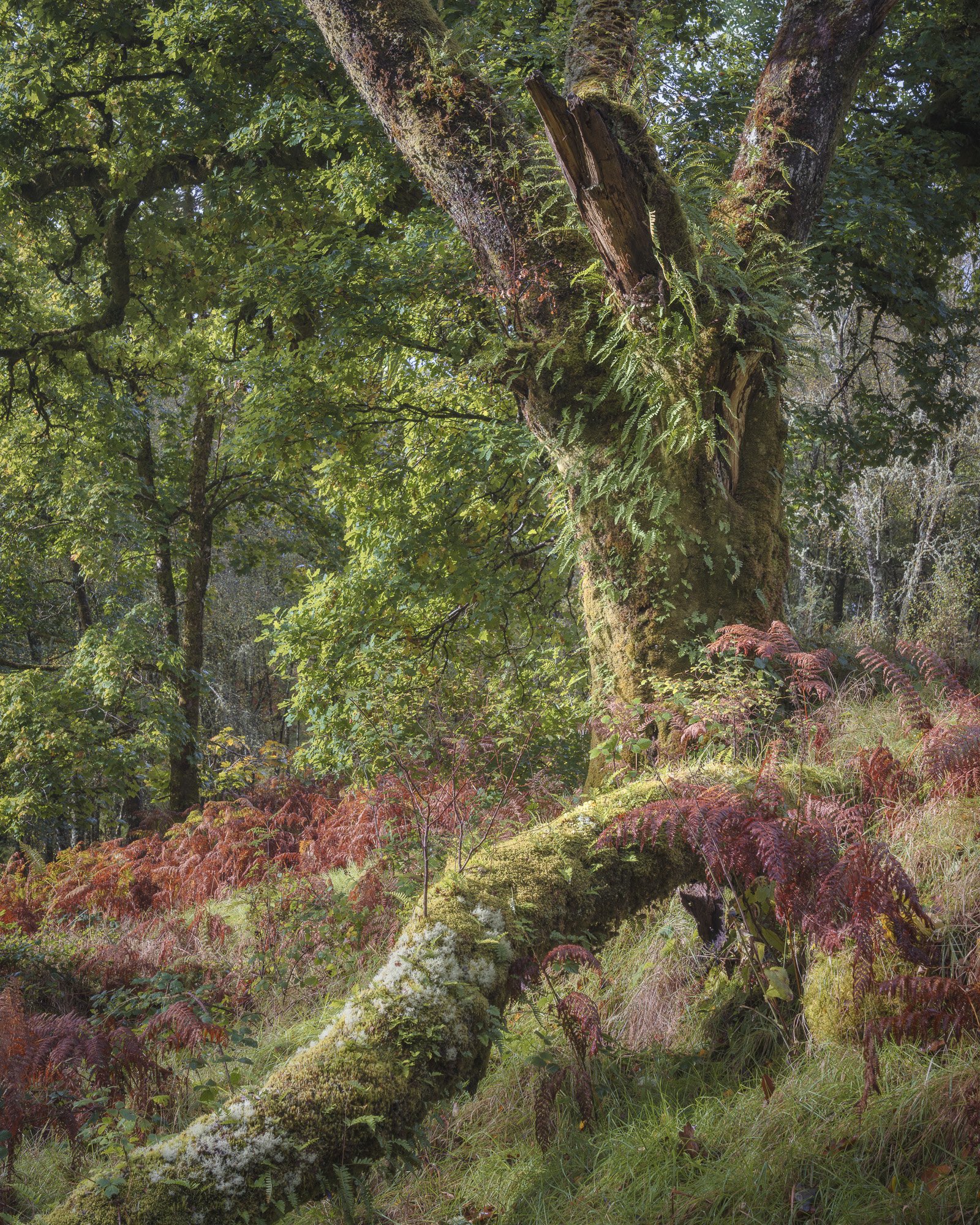 SLPOTY - Duncan Wood (9).jpg