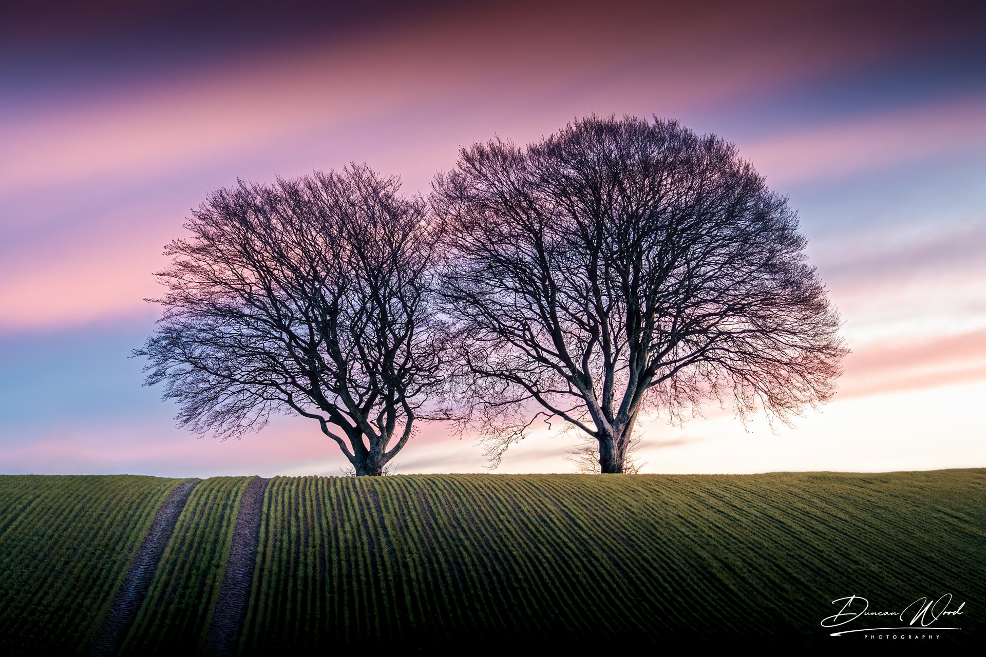 _A737916-Edit-Edit-2.jpg