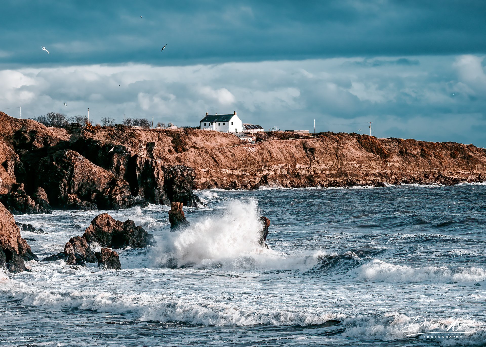 _A736915-Edit-Edit.jpg