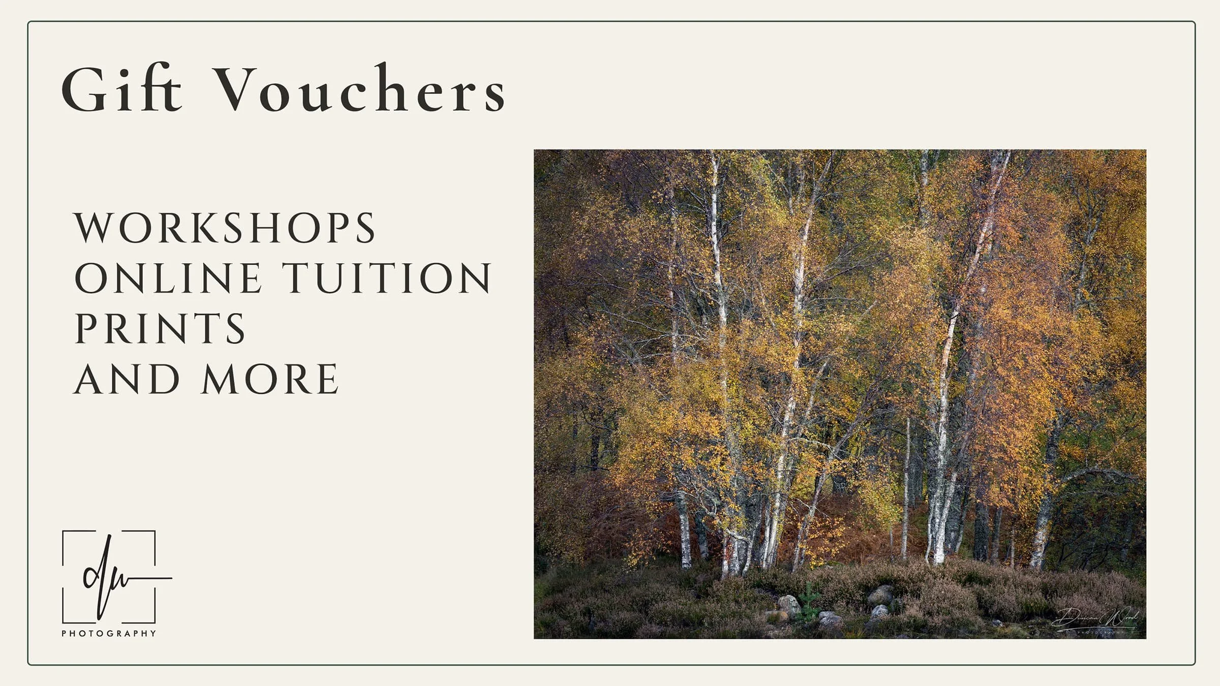 Photography workshop gift vouchers for woodland, coastal and landscape workshops in Scotland