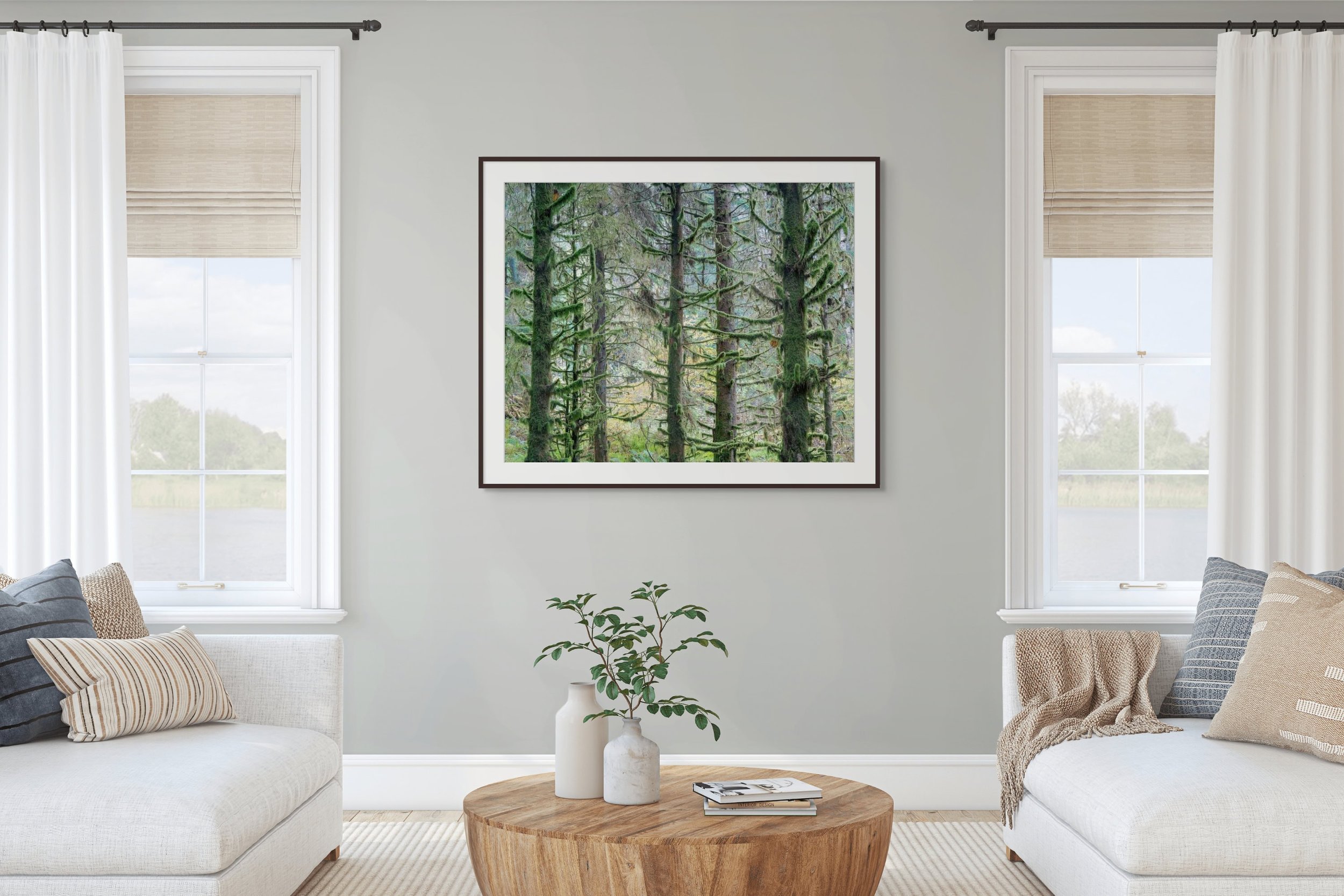 Wall Art Mock-Up Abstract tall tree in temperate rainforest, photographed by Duncan Wood in Scotland. Scottish nature photography.