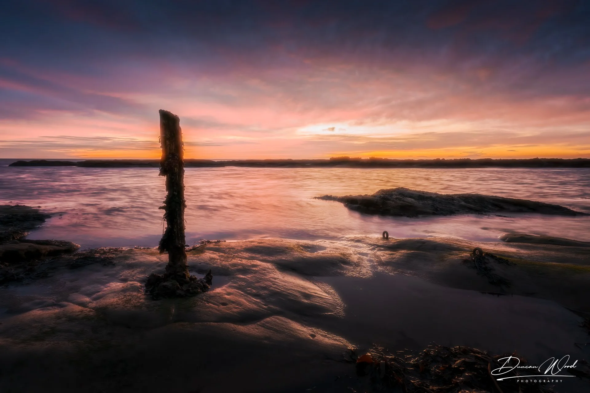A7309204-Edit-Edit-2.jpg