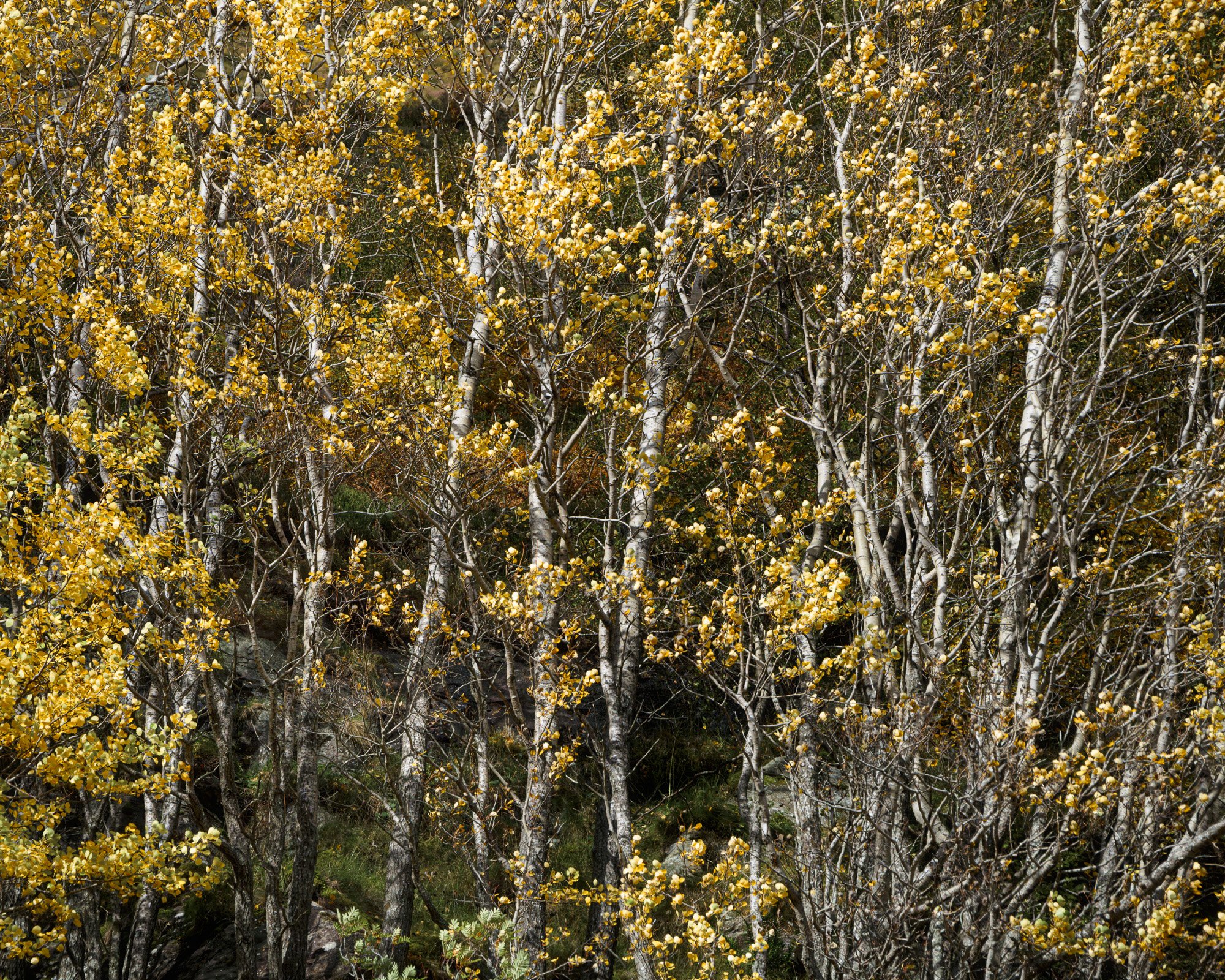 SLPOTY - Duncan Wood (11).jpg