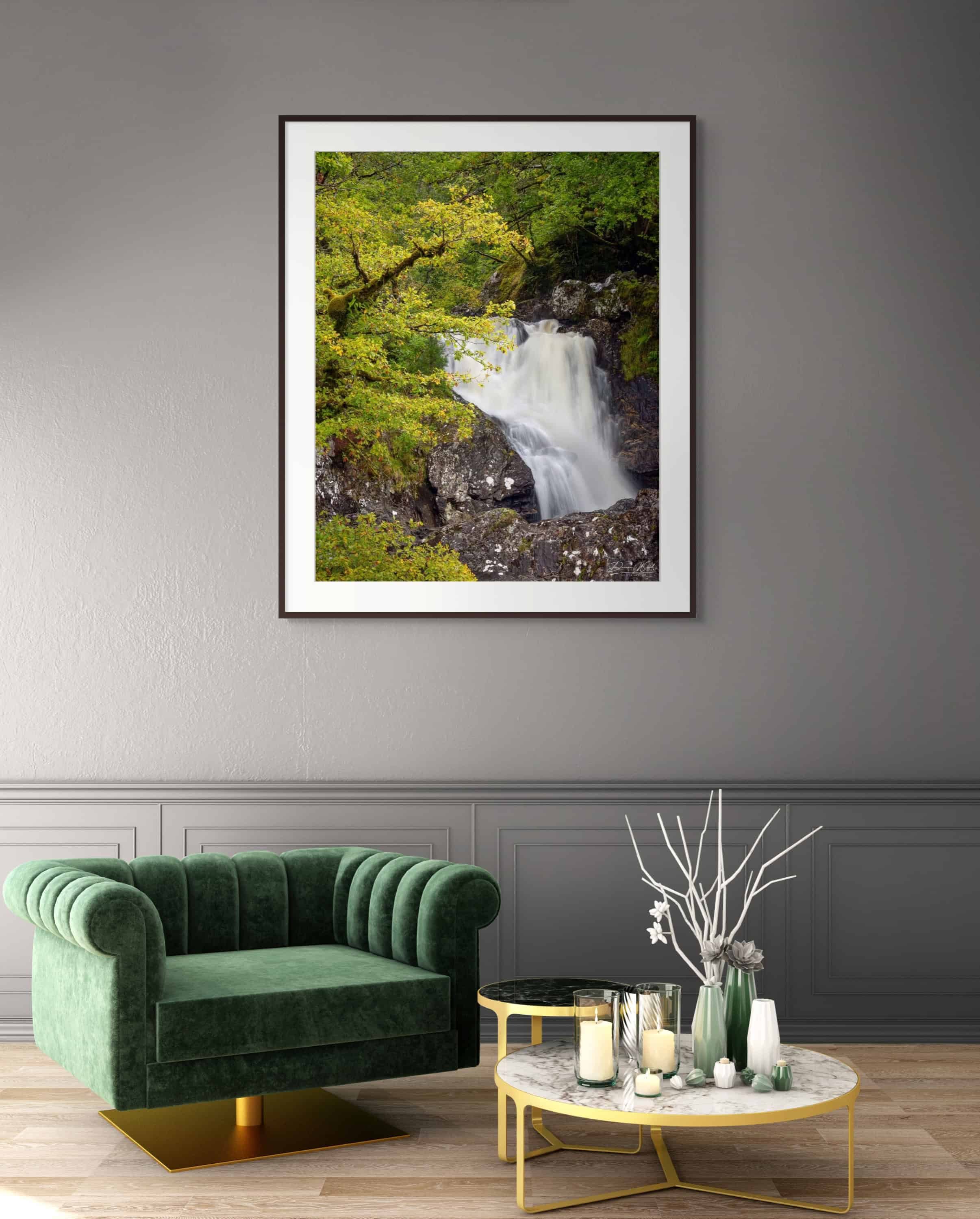 Framed print of Flow Through the Ancient by Duncan Wood displayed on a wall. Scottish rainforest photography featuring a waterfall and moss-covered tree.