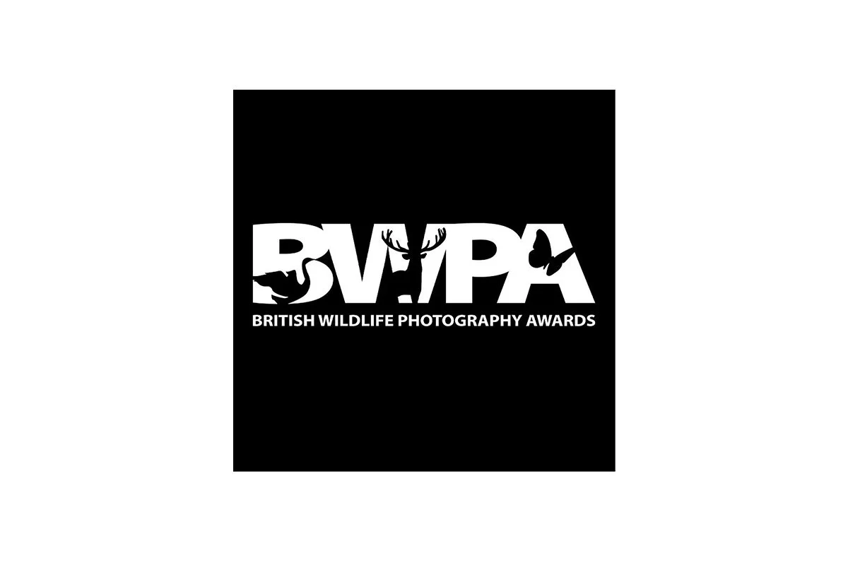 British Wildlife Photography Awards 2026 recognition badge for Duncan Wood Photography