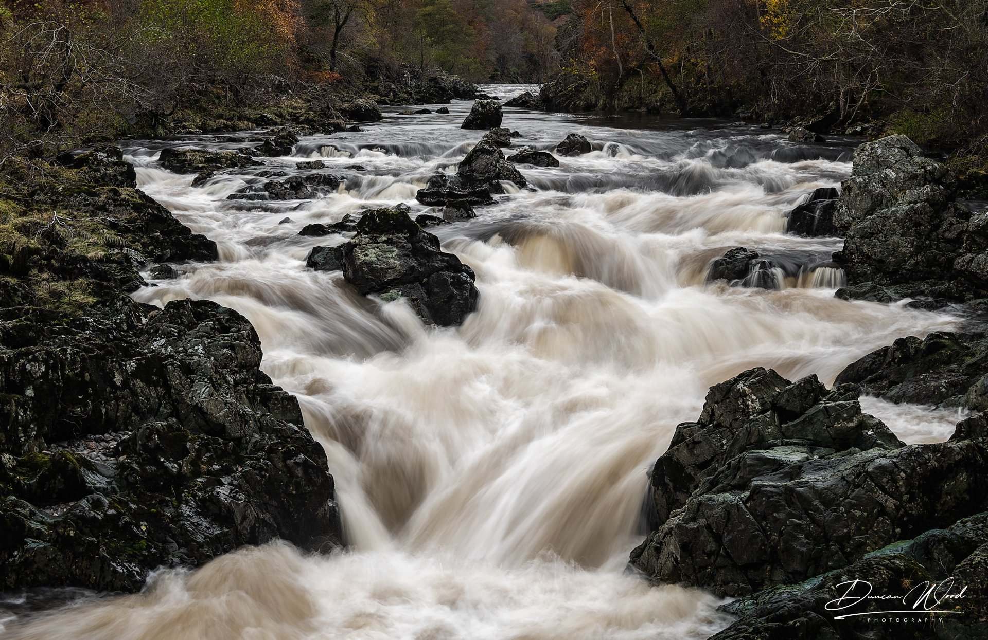 _A735507-ARW_DxO_DeepPRIME.jpg