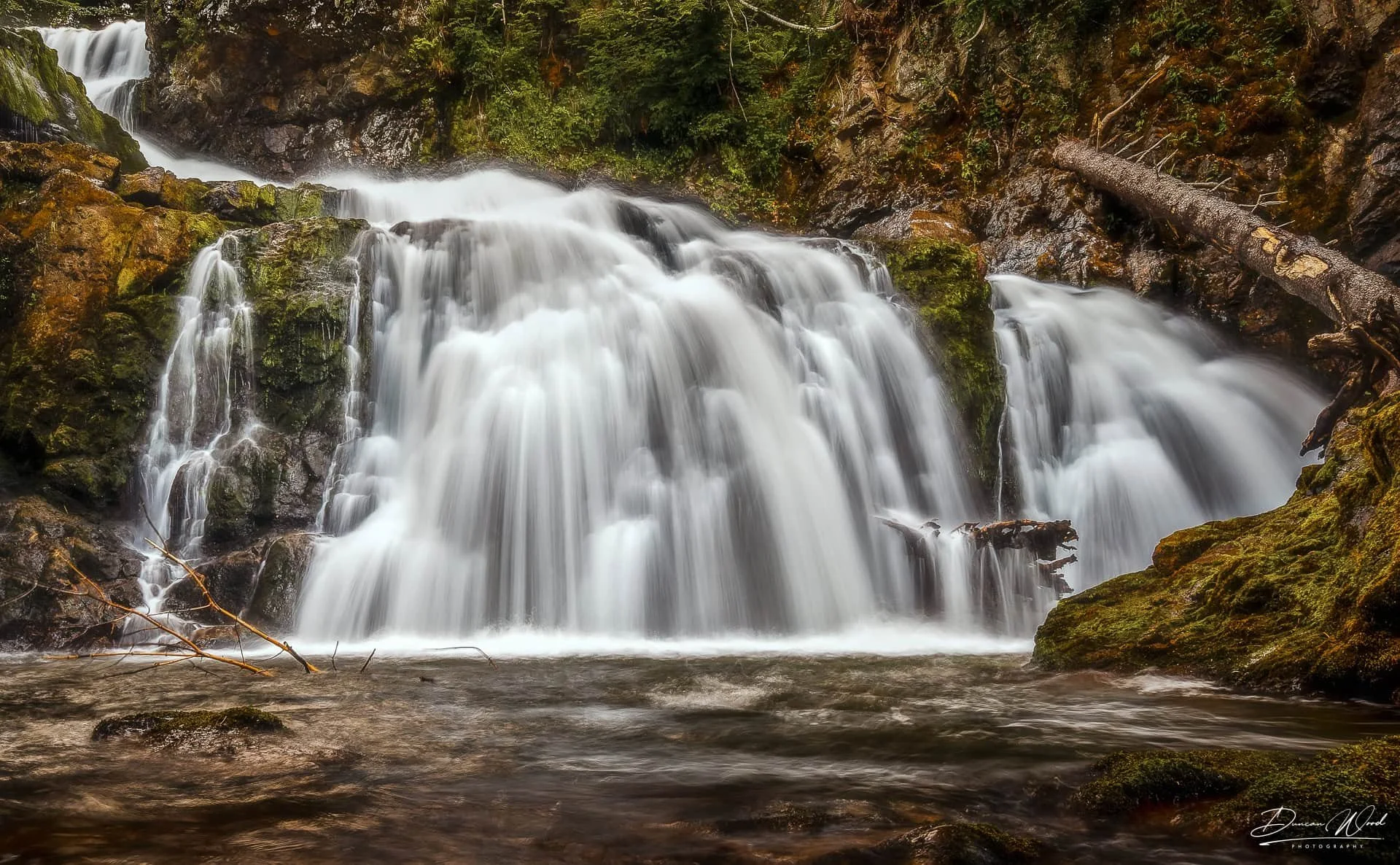 Scottish waterfall, Reekie Linn, Angus,  with soft water movement, mossy rocks and woodland detail, used for landscape photography composition.