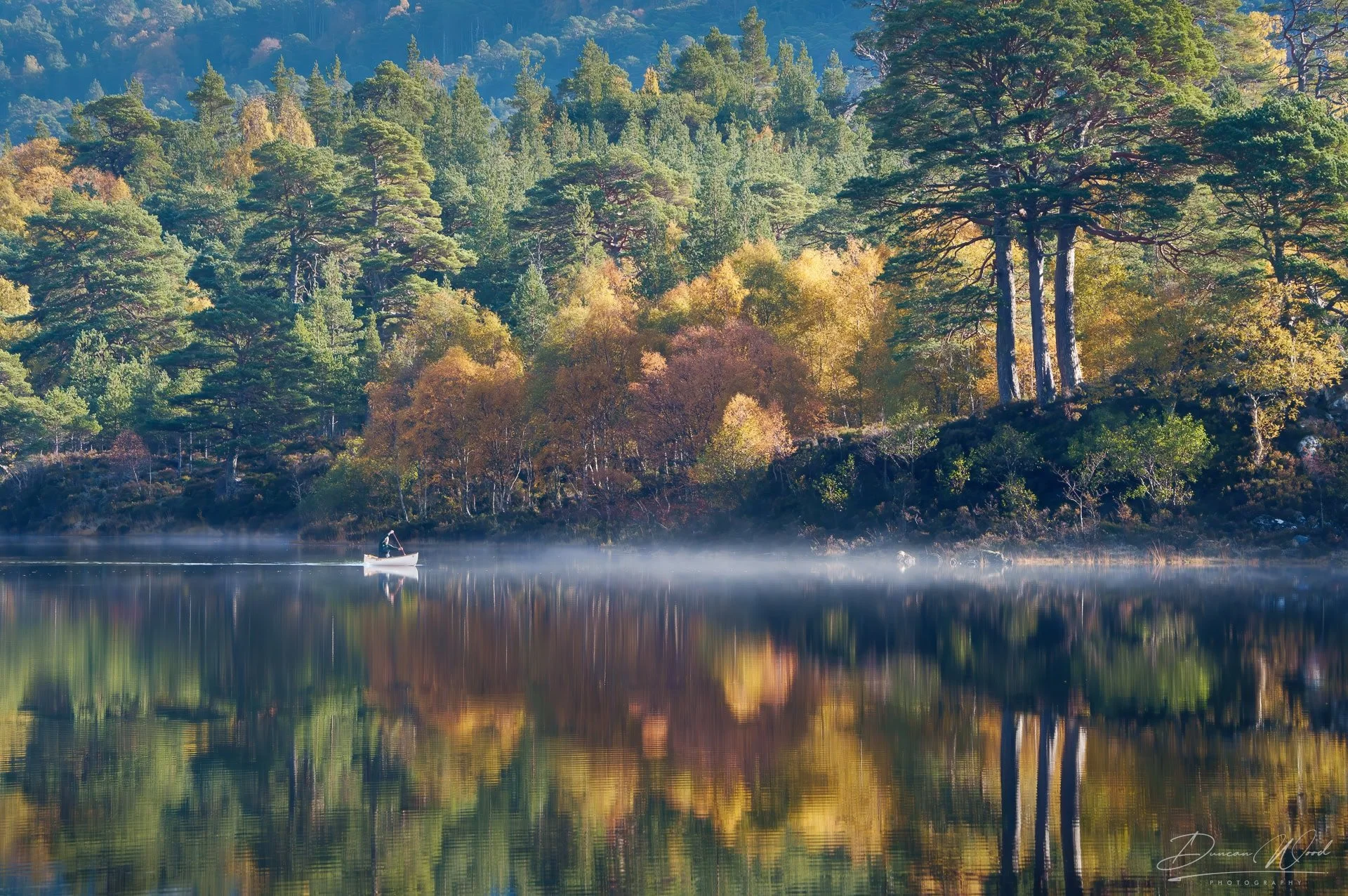 Autumn woodland and loch reflections in Glen Affric, representing available dates for a woodland and intimate landscape photography workshop.
