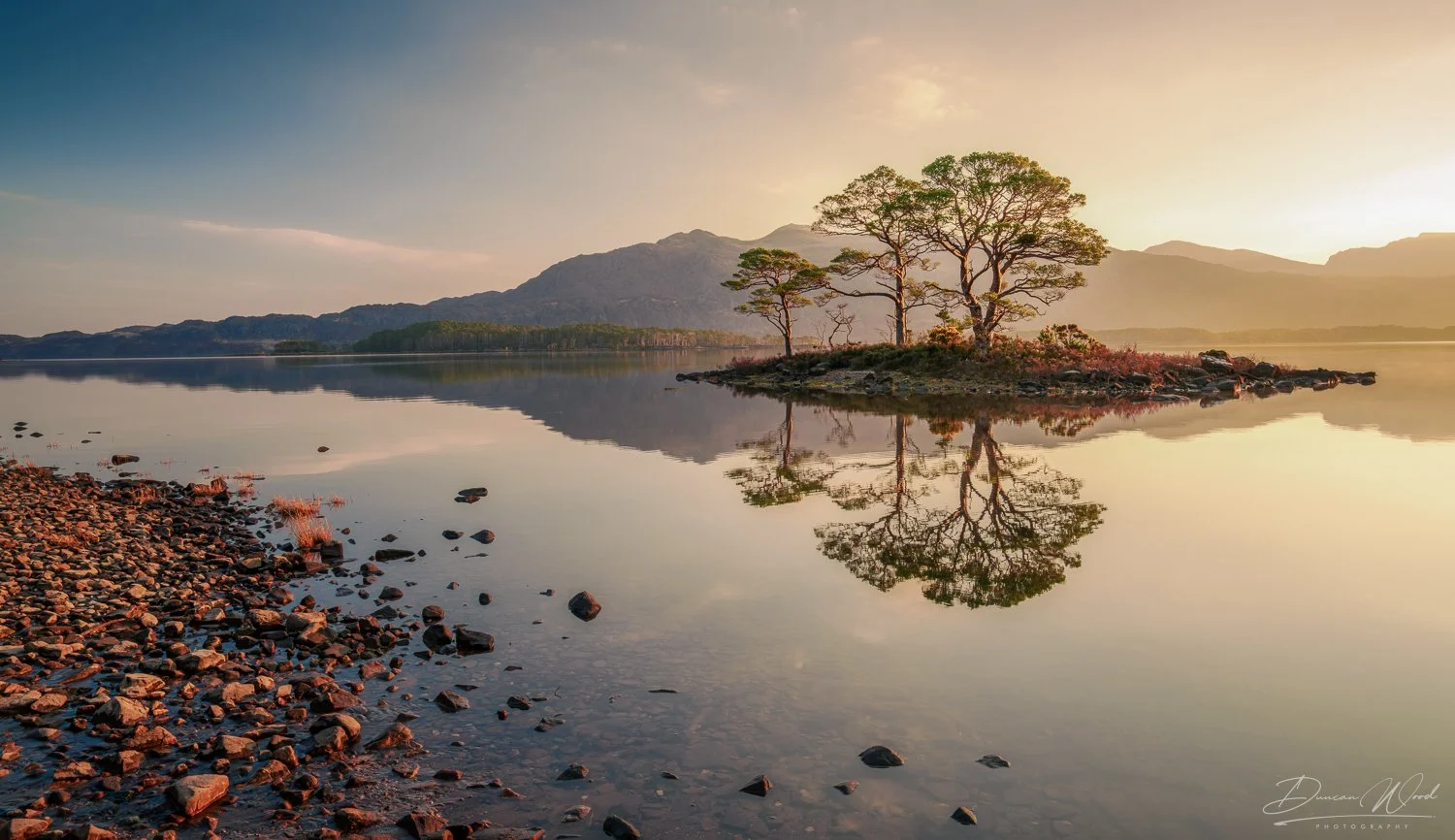Scots pine trees reflected in a calm Highland loch, representing private photography tours in Scotland.