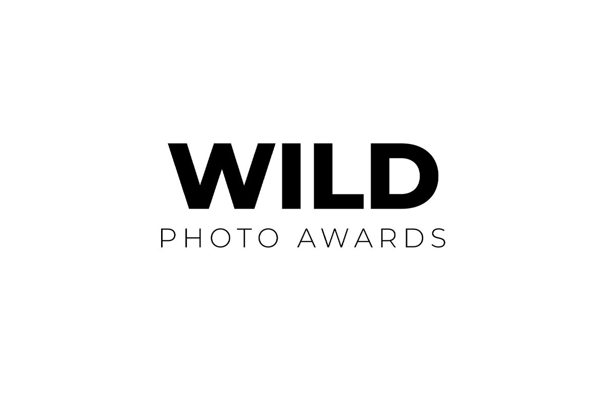 Wild Photo Awards winner logo for Duncan Wood Photography