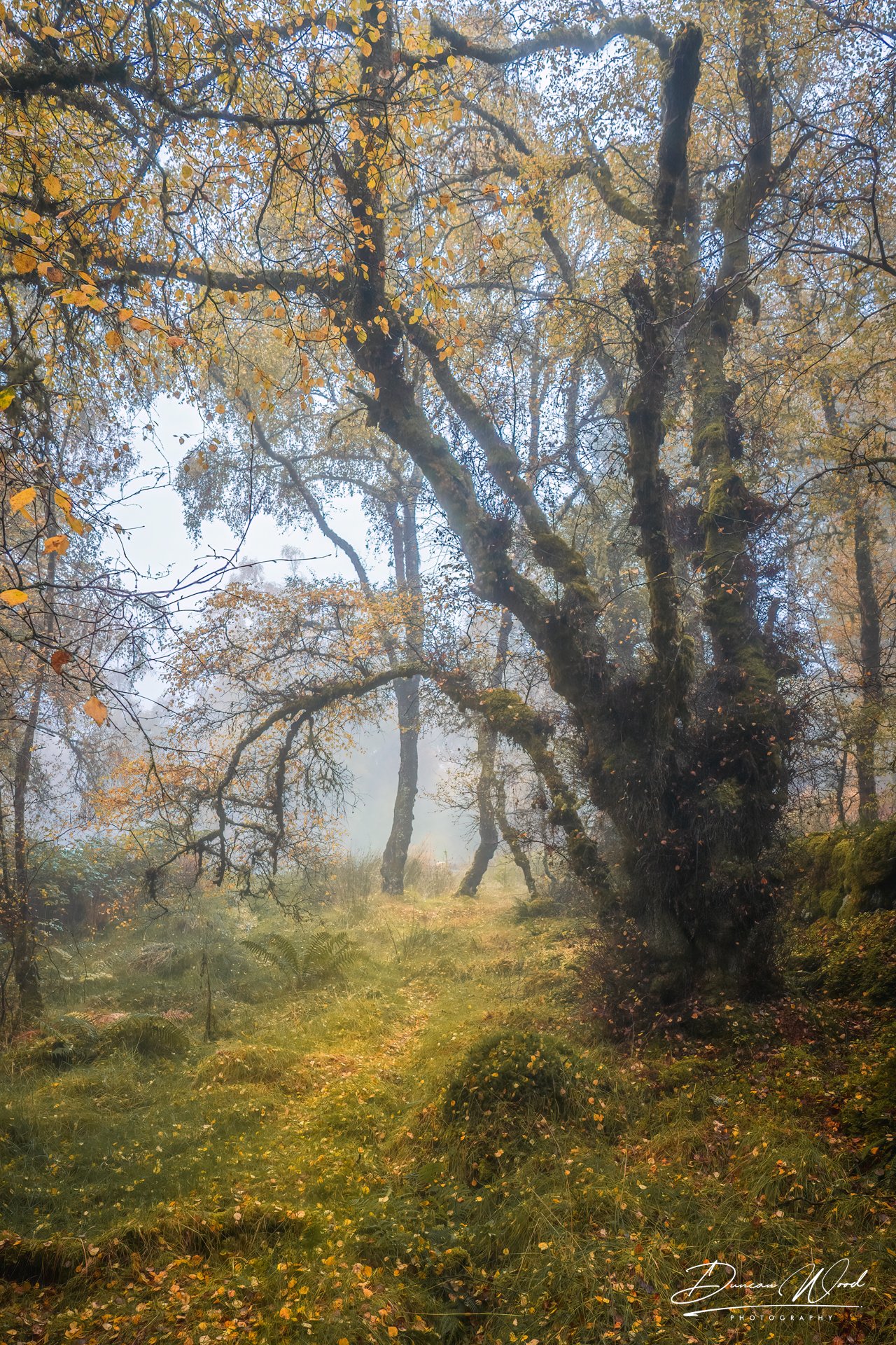 _A734799-Edit.jpg
