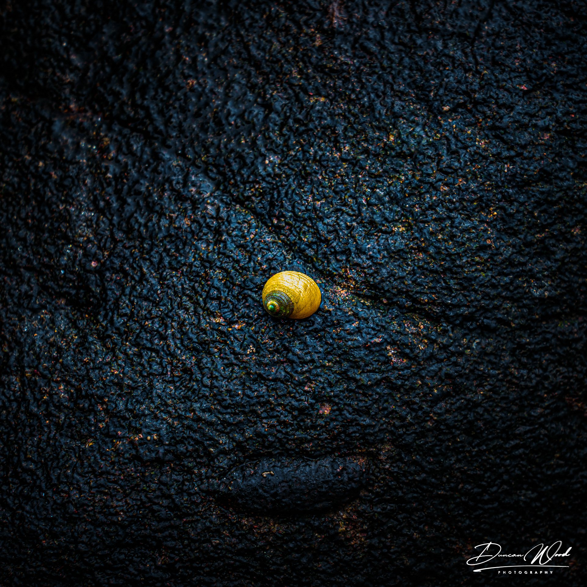 _A736638-Edit.jpg