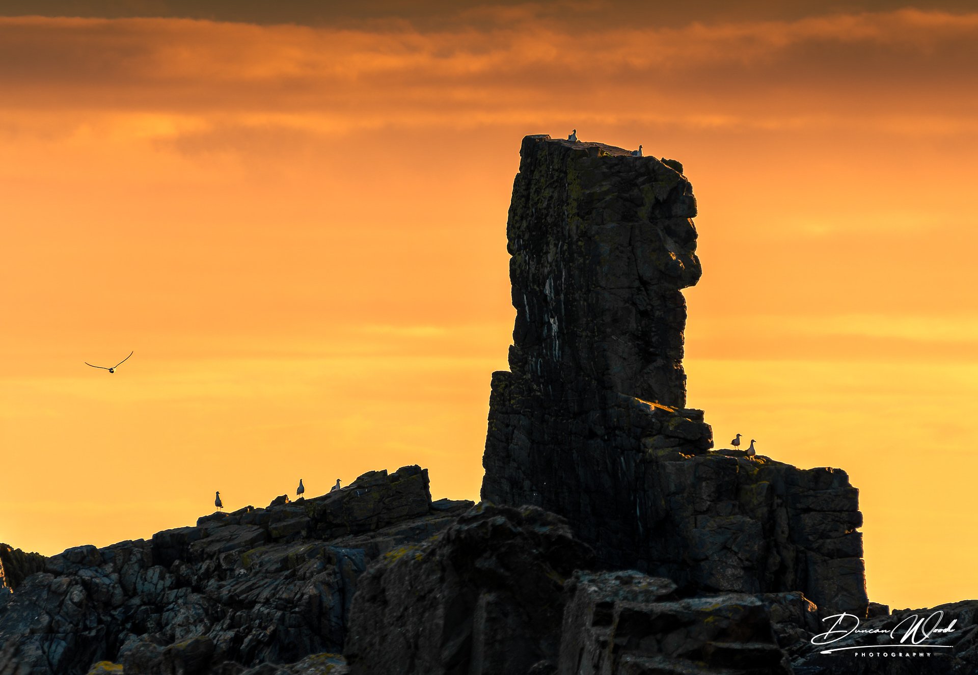 _A732720-ARW_DxO_DeepPRIMEXD-Edit-2.jpg