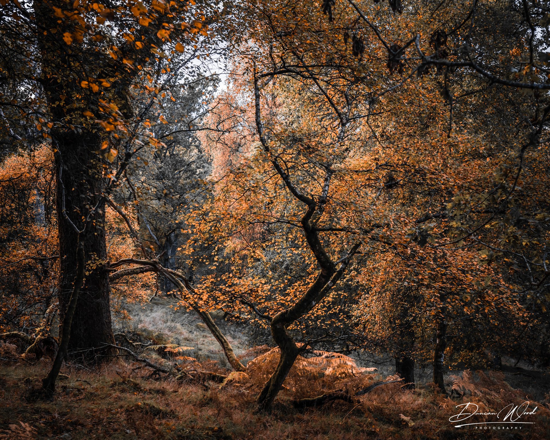 A7302368-2.jpg