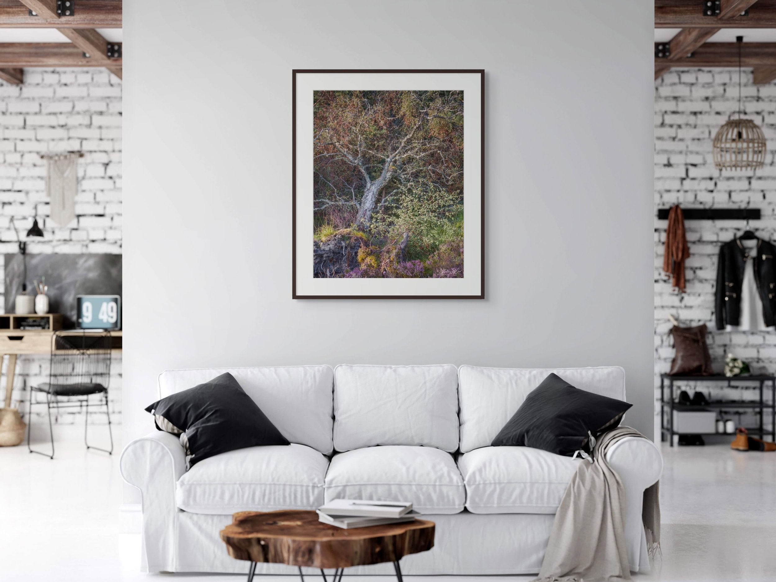 Uprooted tree surrounded by heather, photographed by Duncan Wood in Scotland. Scottish nature photography.