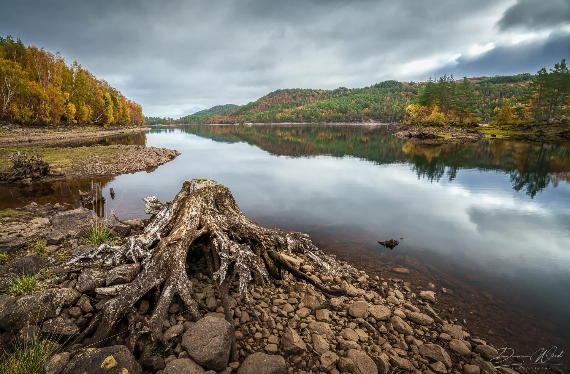 A peaceful lake surrounded by colorful autumn trees under a cloudy sky, with a large driftwood log in the rocky shoreline in the foreground.